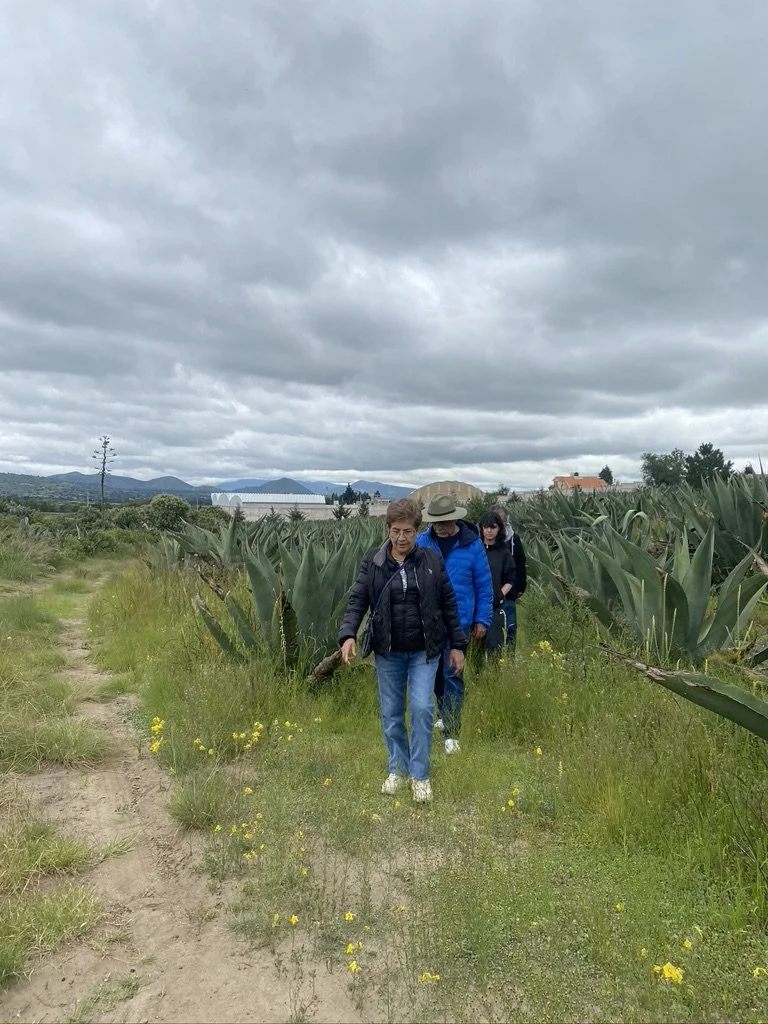 Tlaxcala: Entre magueyales, pulque y cocina