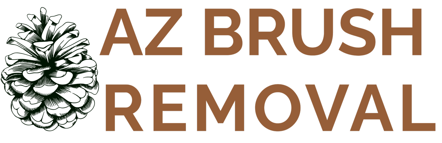 AZ Brush Removal