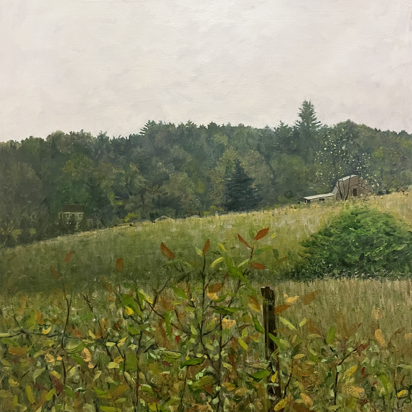 Tommy's Farm, oil on canvas, 36" x 36"