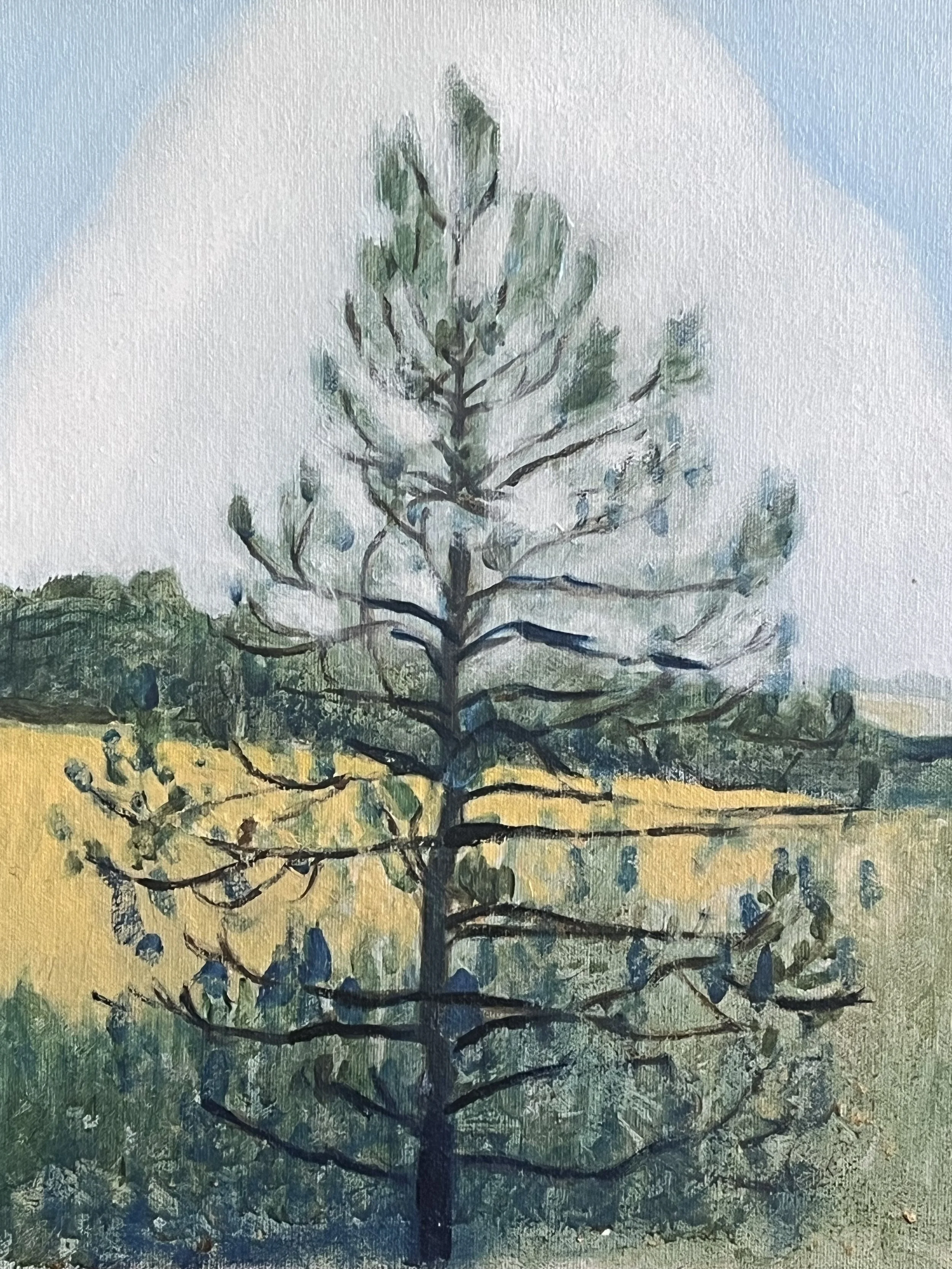 White Pine, oil on panel, 11" x 14"