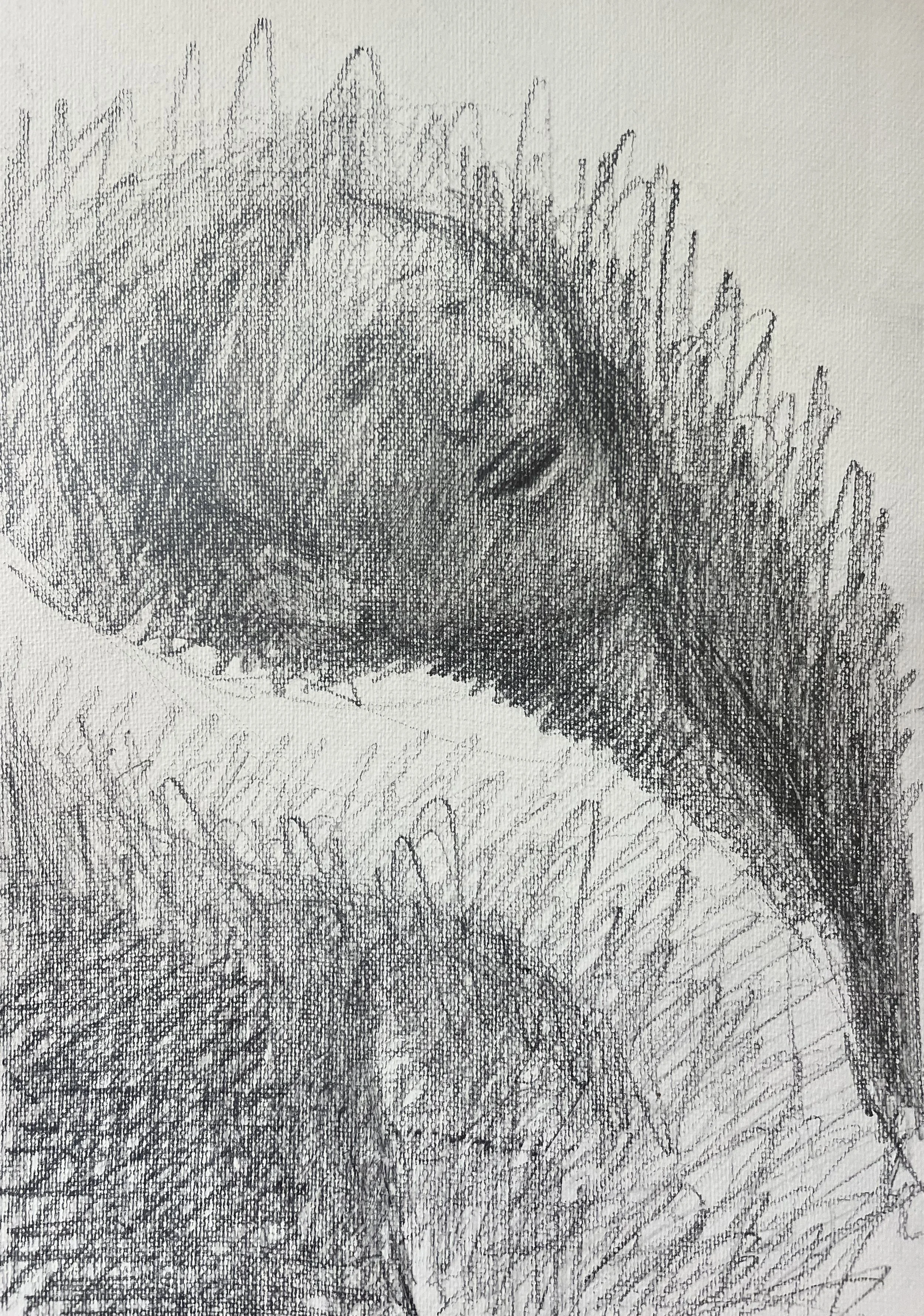 Dancer, graphite on paper