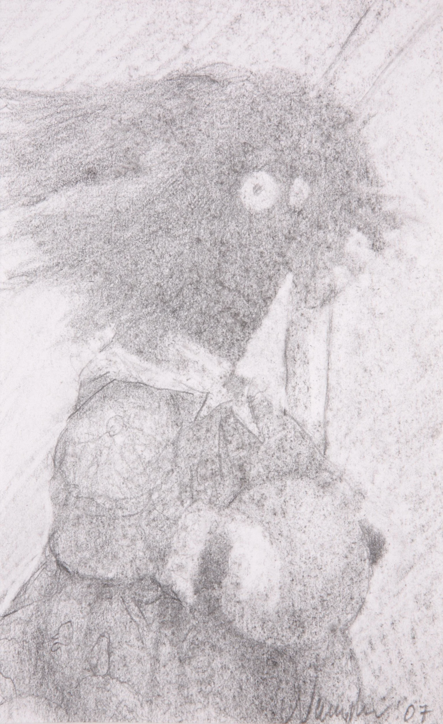 La Quilta, graphite on paper, private collection