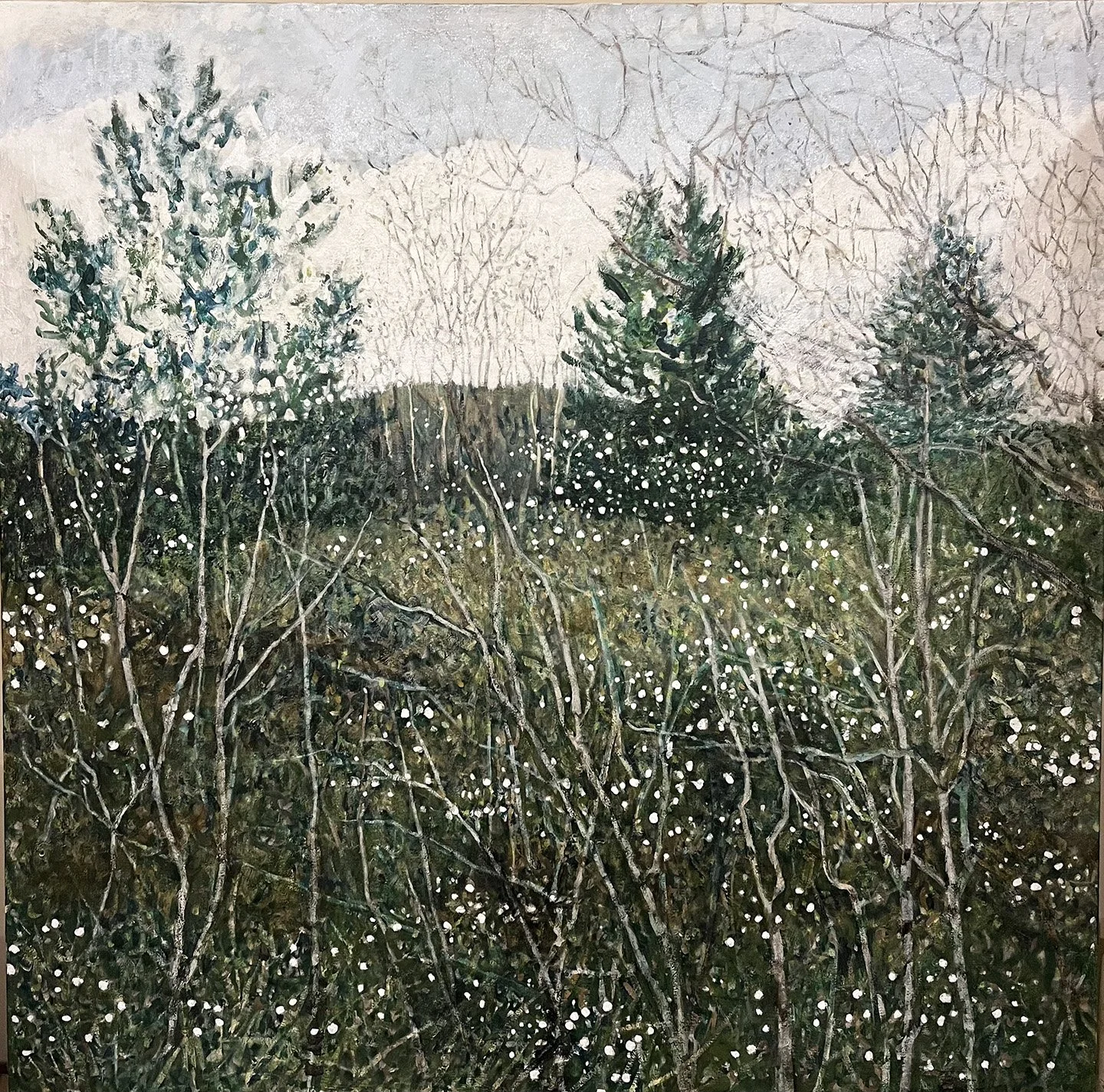 Amelanchiers, oil on canvas, 36" x 36"
