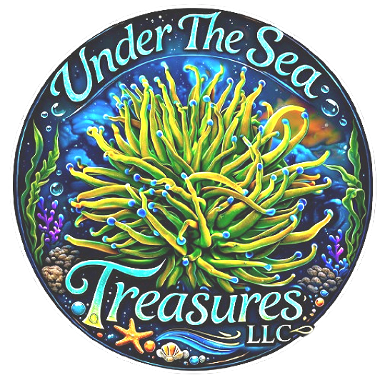 Under The Sea Treasures 
