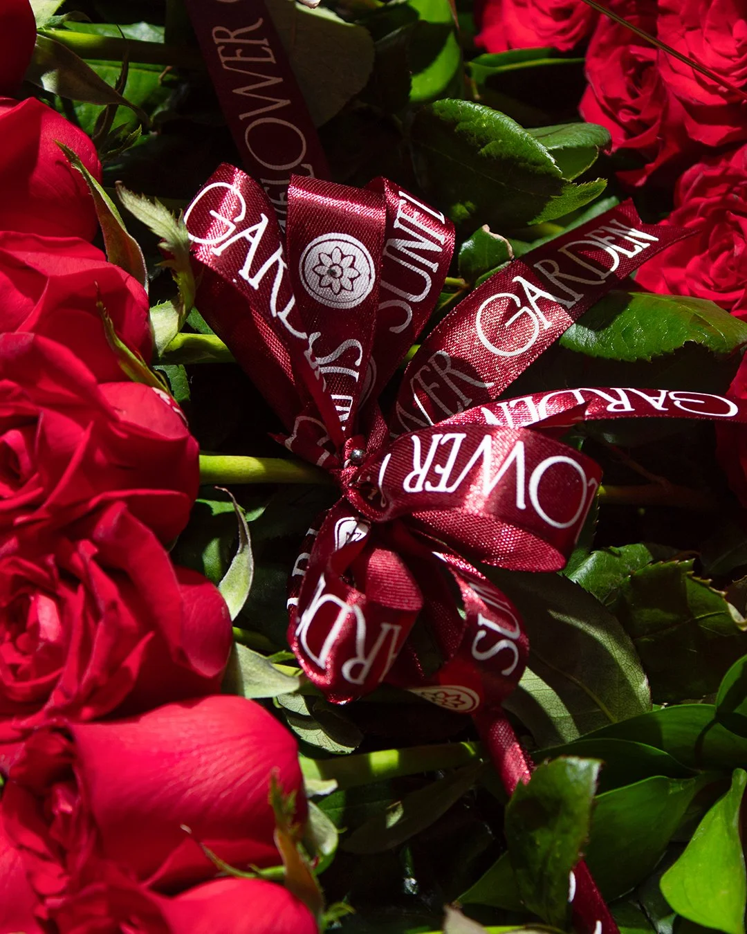 A close-up of red roses with green leaves, decorated with a red ribbon that has white text saying 'GARDEN' and 'JOUR'.