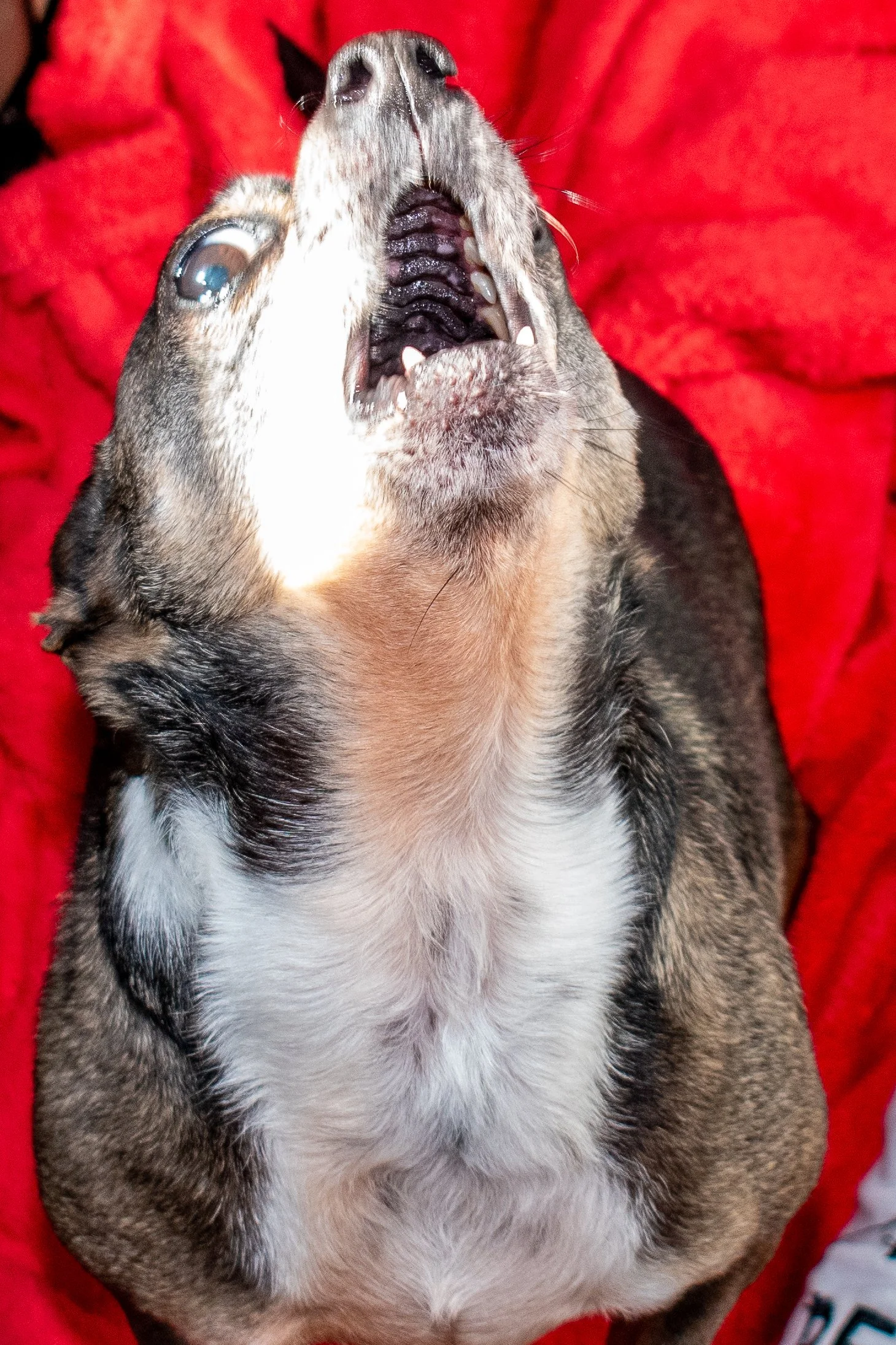 DSC_0139.jpg