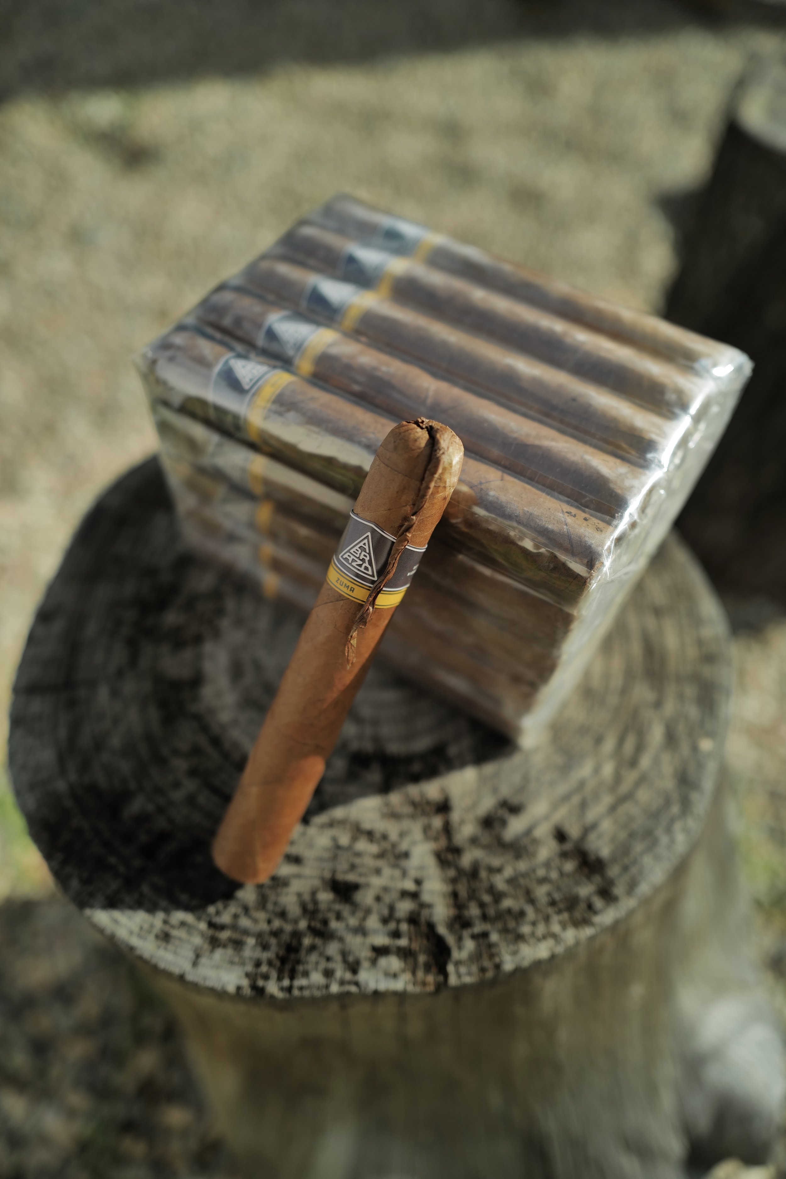 ZUMA BUNDLE OF 25