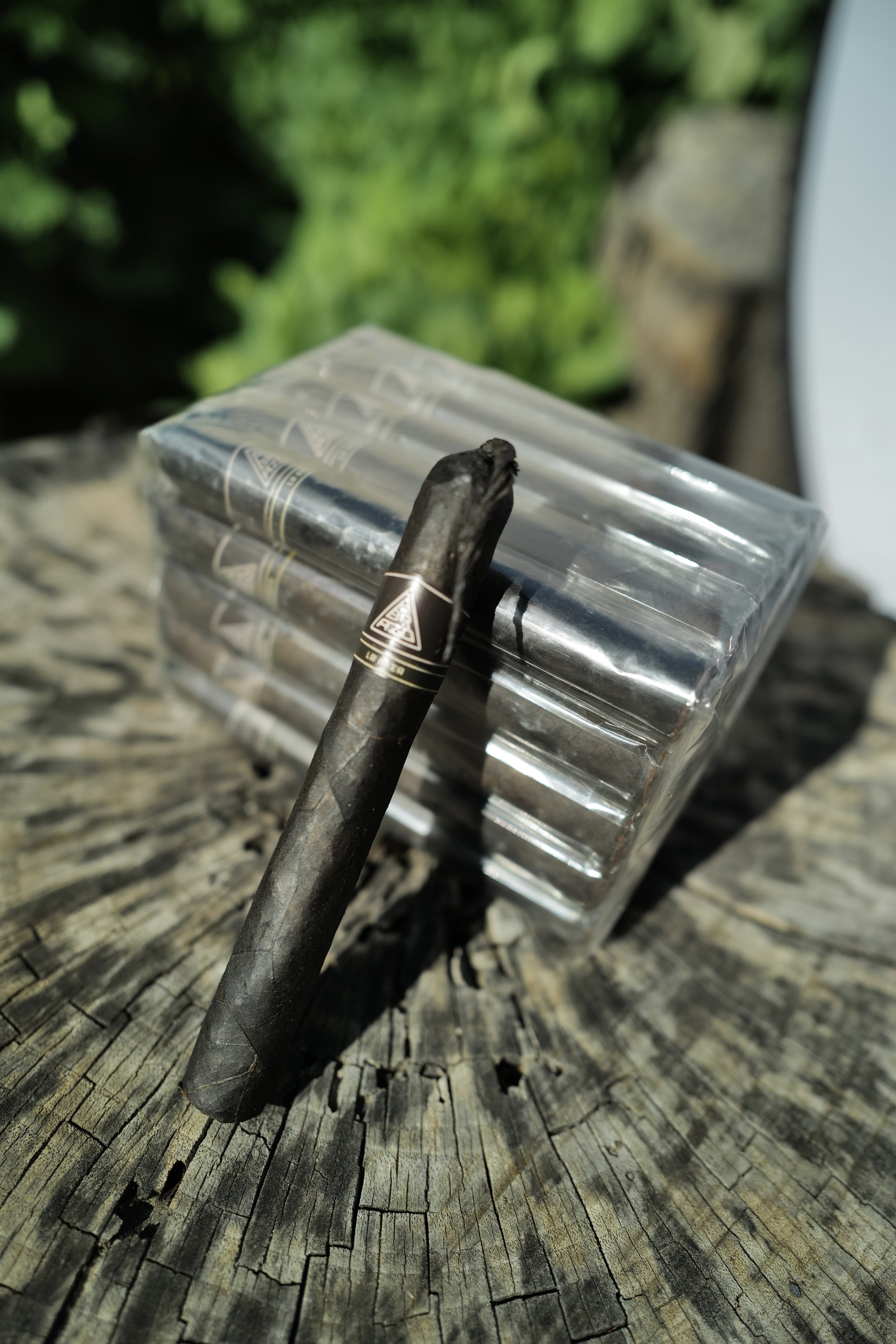 LA BREA BUNDLE OF 25