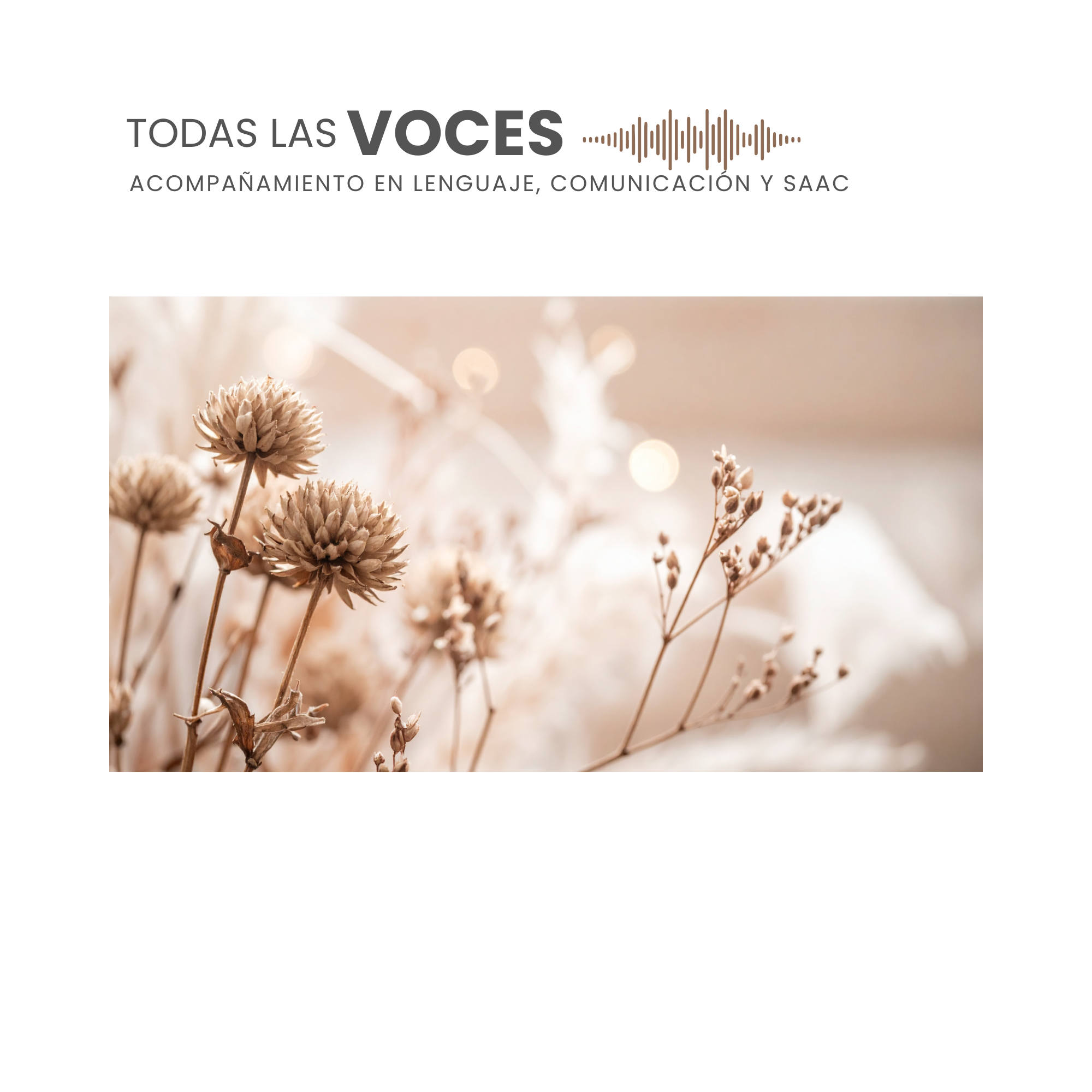 Dificultades Específicas de Aprendizaje