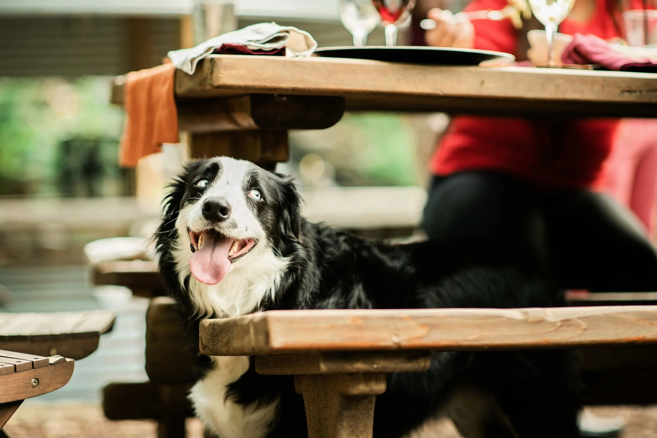 LEO Events. Friendsgiving, (7-18-19)-8.jpg