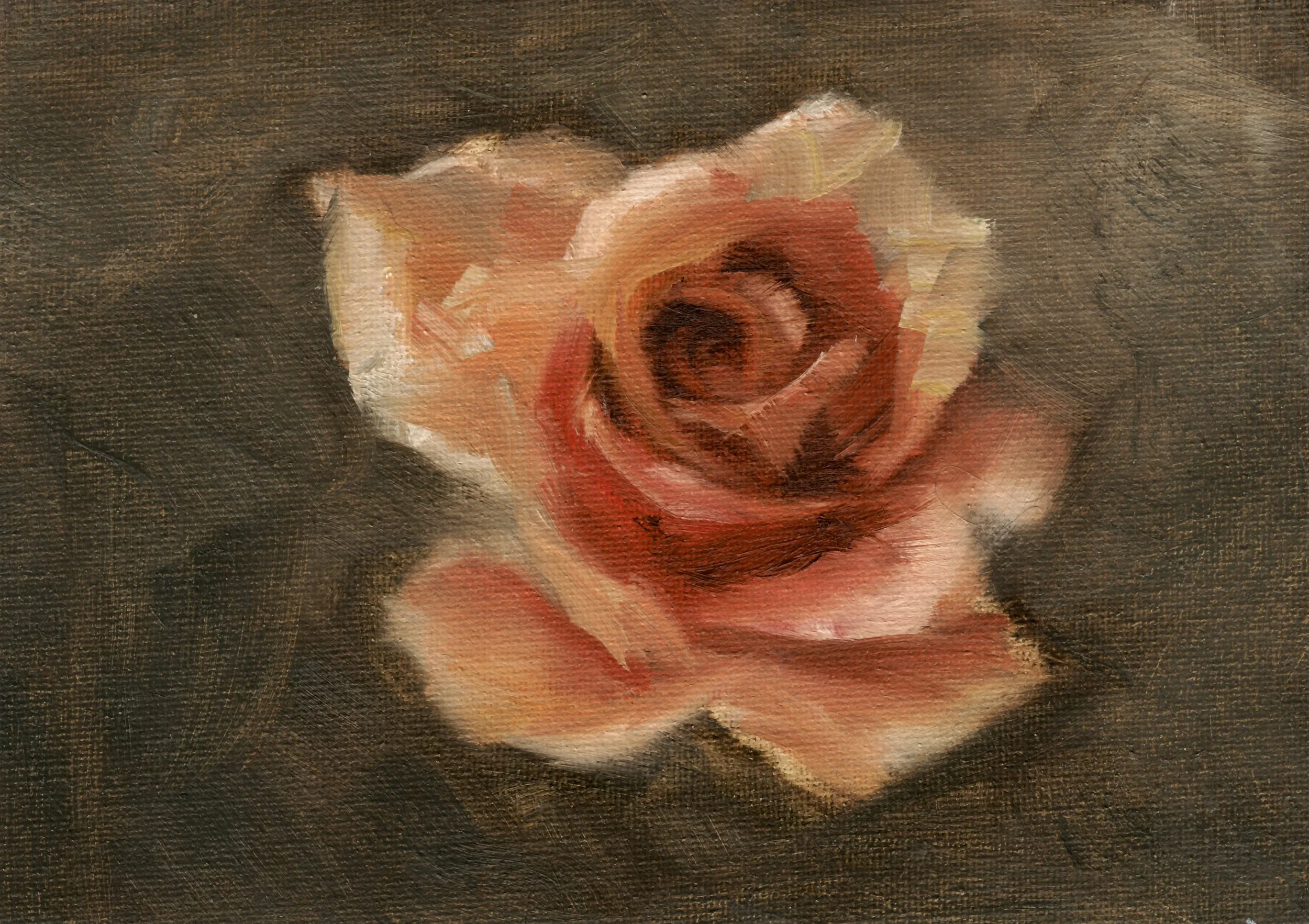 [Untitled] (1)-2.jpg