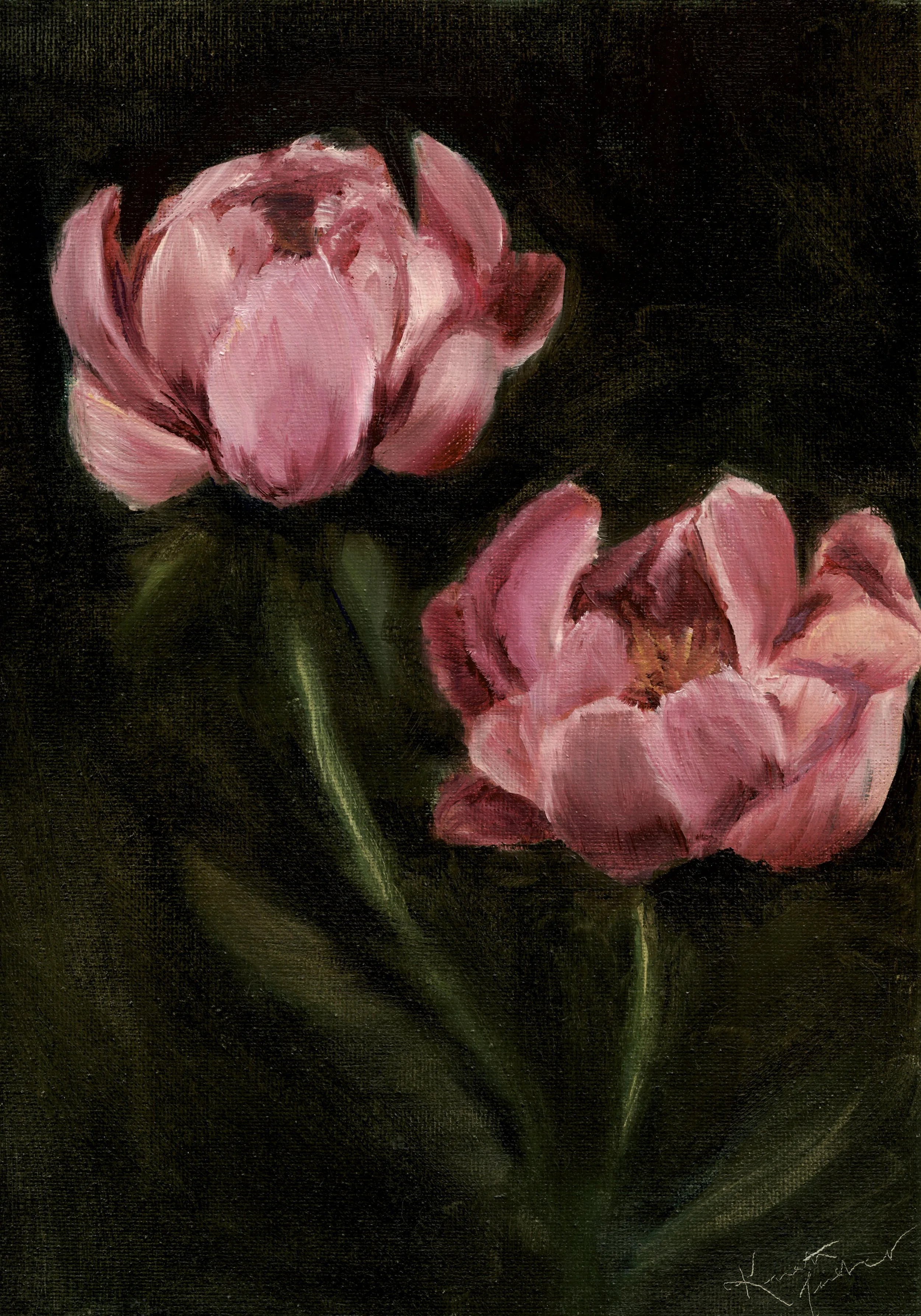 [Untitled] (3)-2.jpg