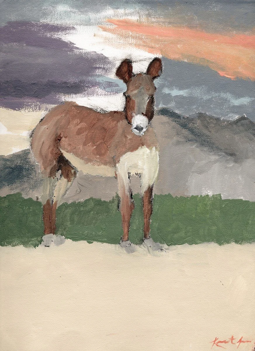 Trash Donkey web.jpg
