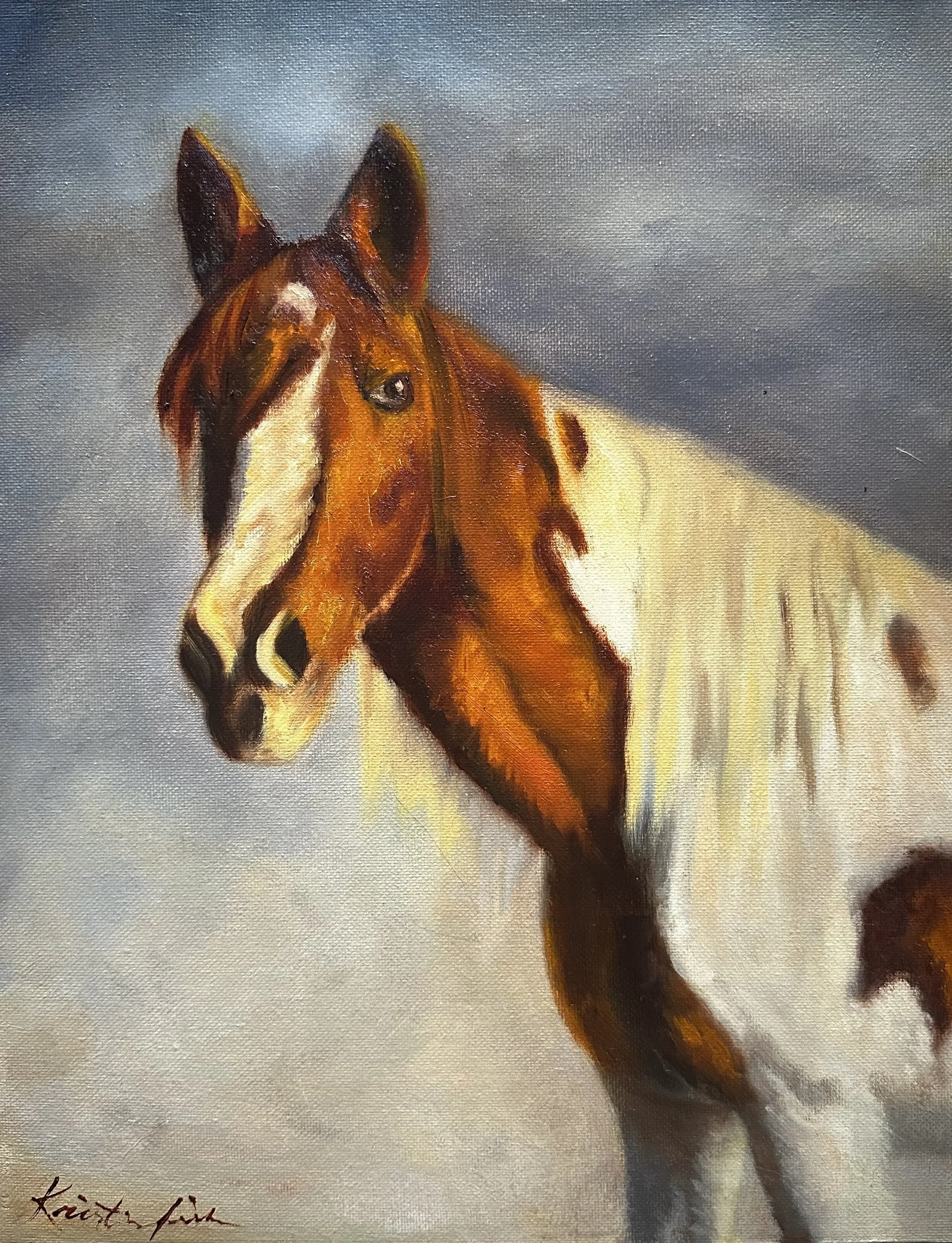 A horse named Sassy.jpeg