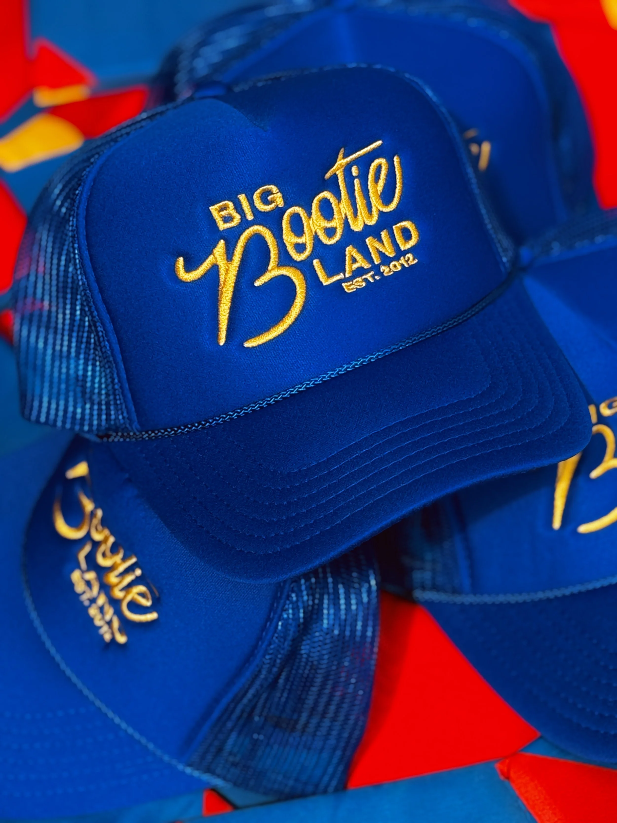 Close-up of a blue backpack with gold embroidery that reads 'Big Brother Land' and 'Est. 2012', placed on a red background.