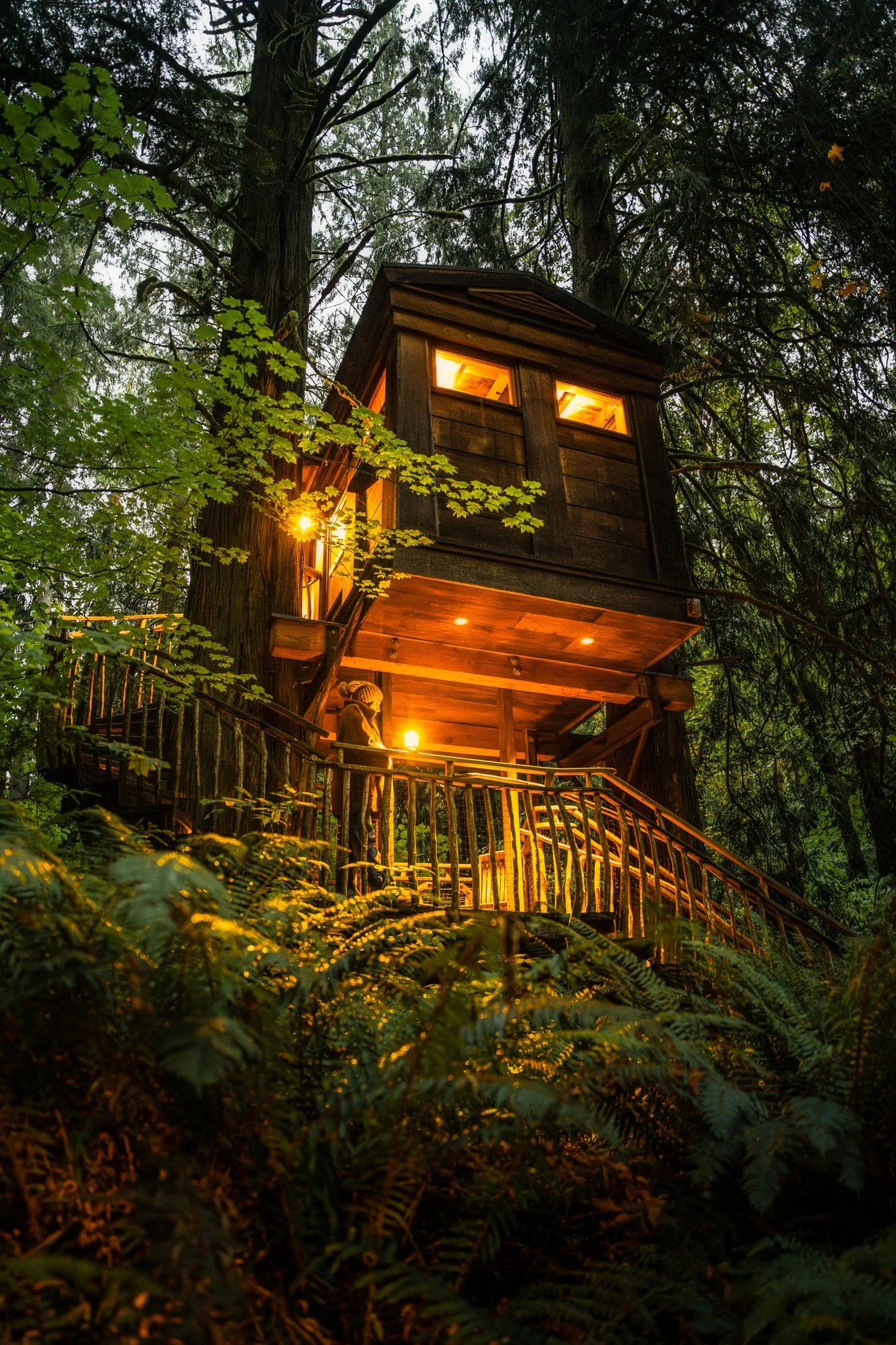 A treehouse illuminated with warm lights, built among tall trees in a forest at dusk.