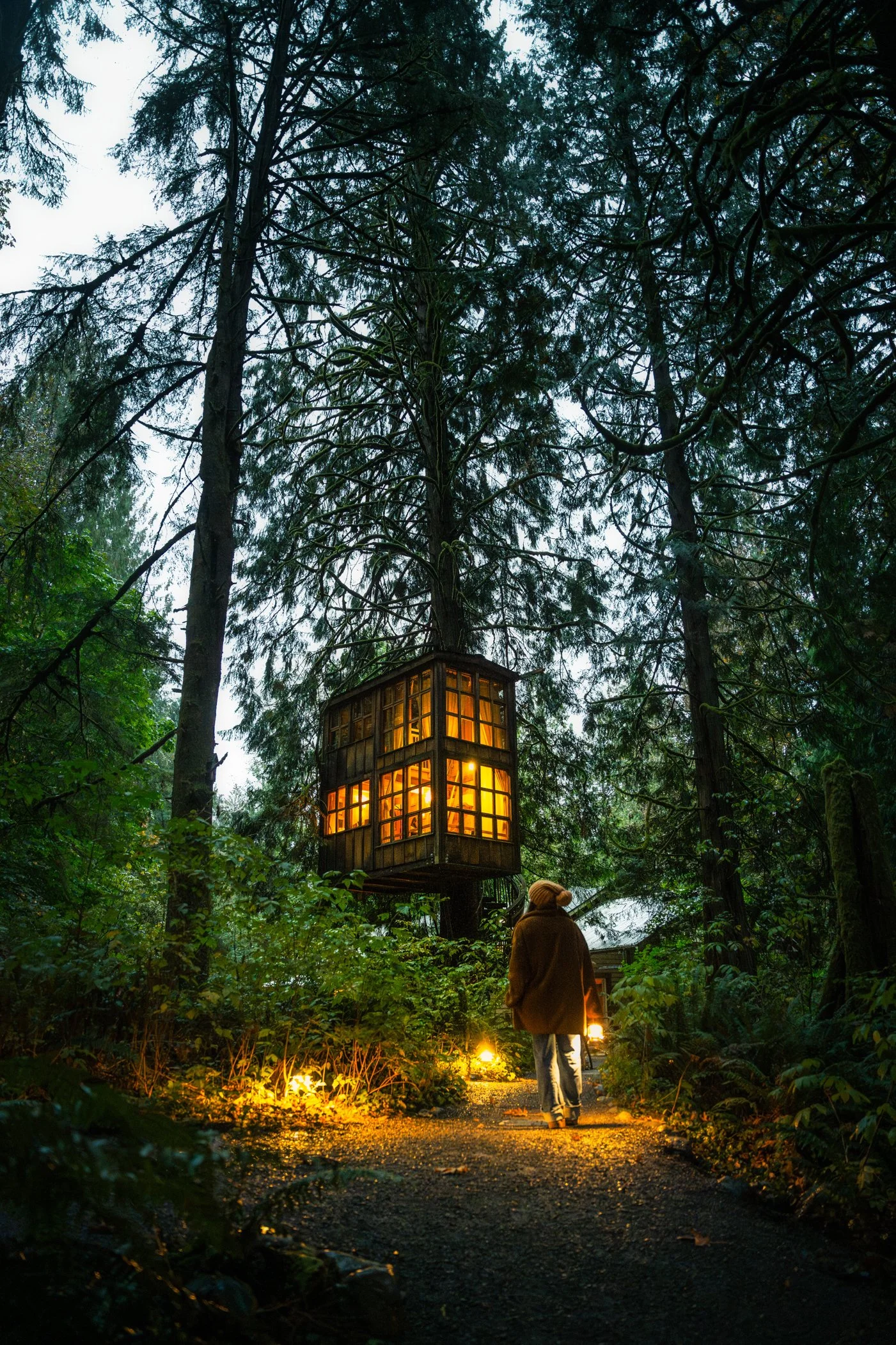 A person walking on a forest path at dusk towards a treehouse illuminated from within, surrounded by tall trees and lush greenery.