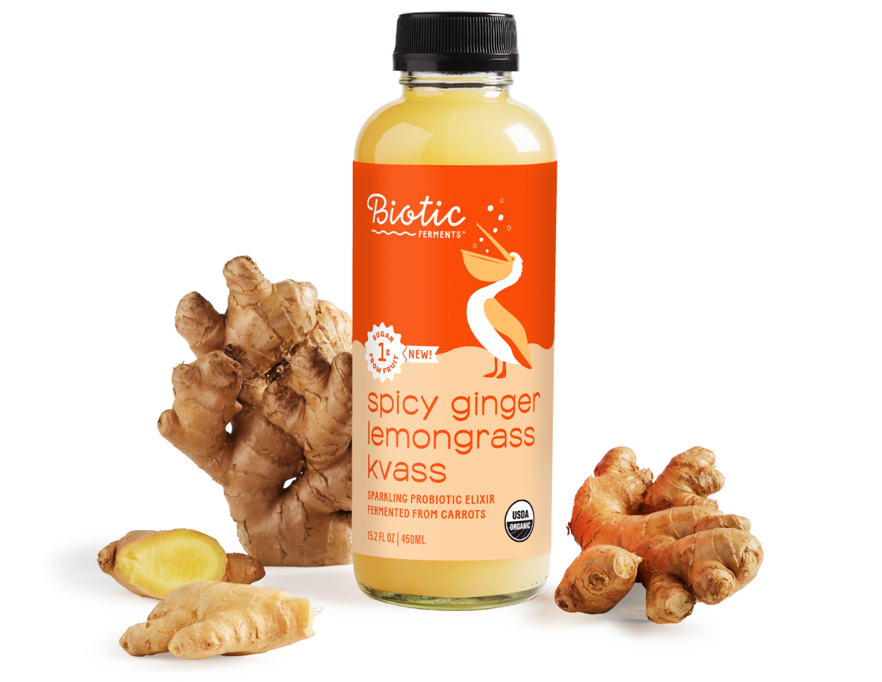 A bottle of Biotic Ferments spicy ginger lemongrass kvass surrounded by fresh ginger roots on a white background.