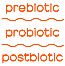 Text displaying the sequence of probiotic classifications: prebiotic, probiotic, postbiotic, each with an orange font and wavy line separating them.