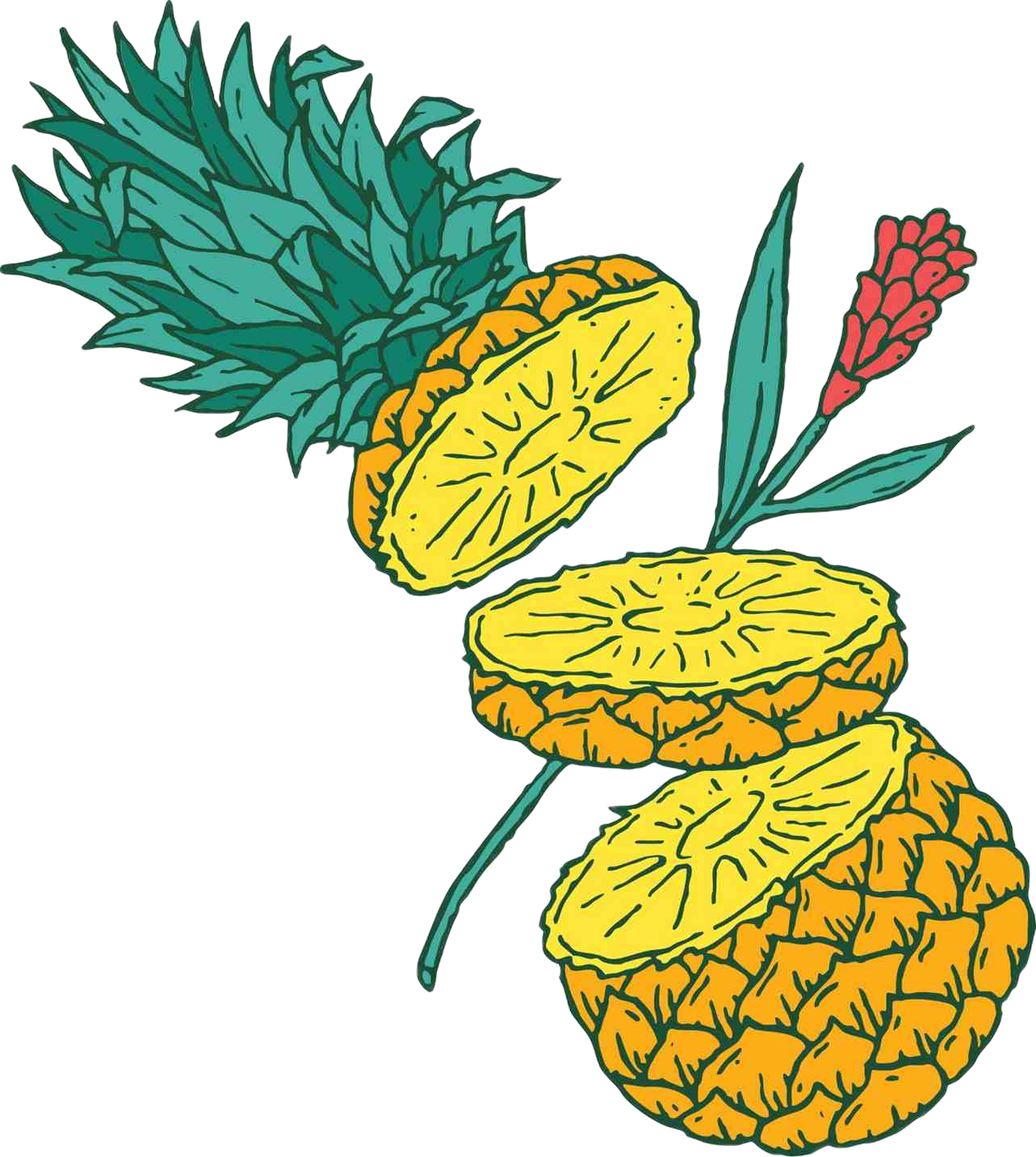Illustration of a pineapple with sliced sections showing the fruit's interior, along with a pineapple leaf and a red flower attached to the top.