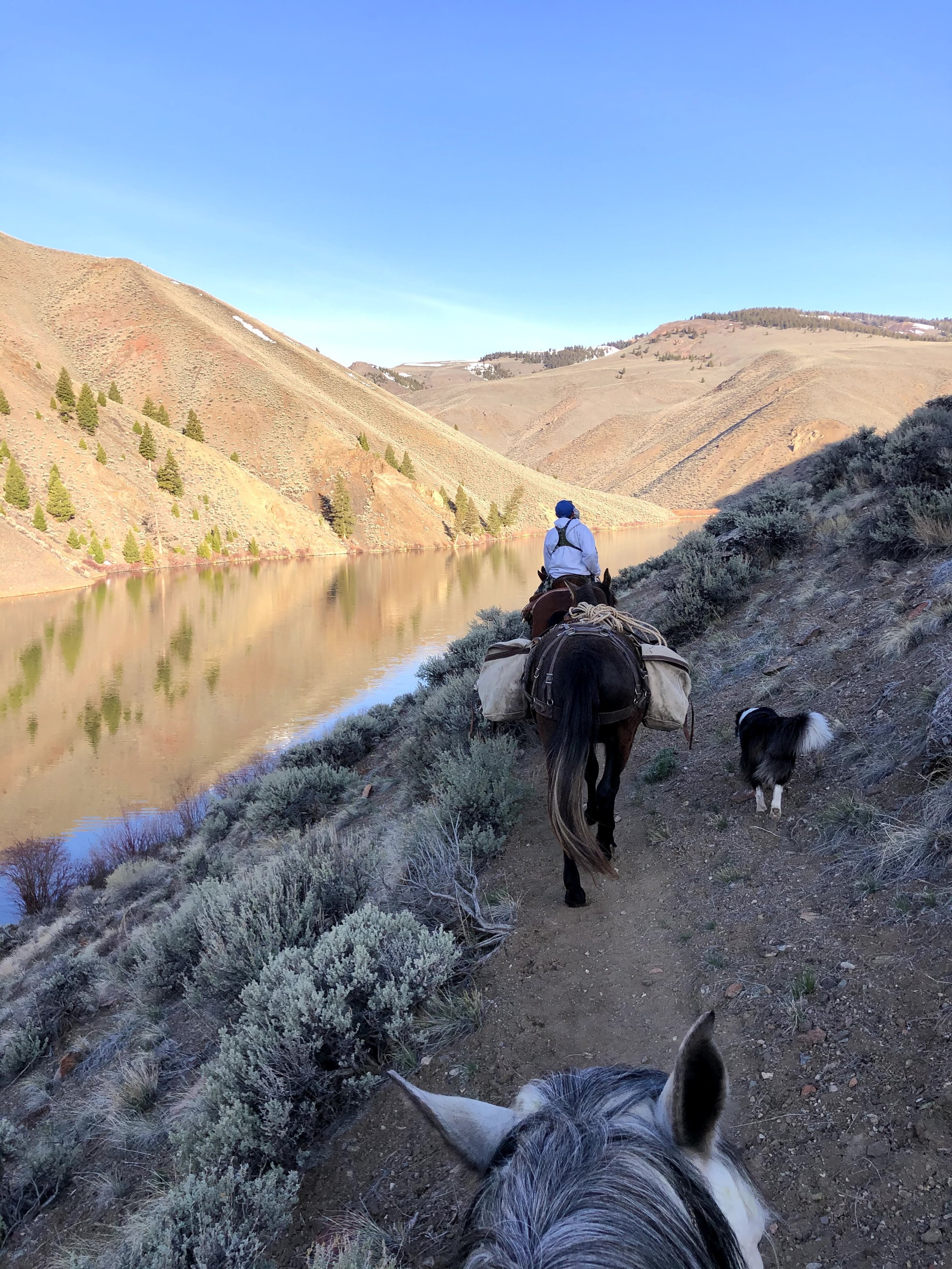 day rides, trail rides, horses