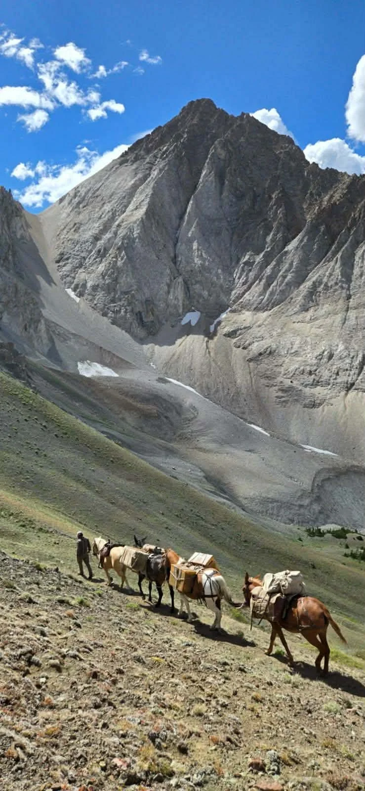white clouds summer pack trips