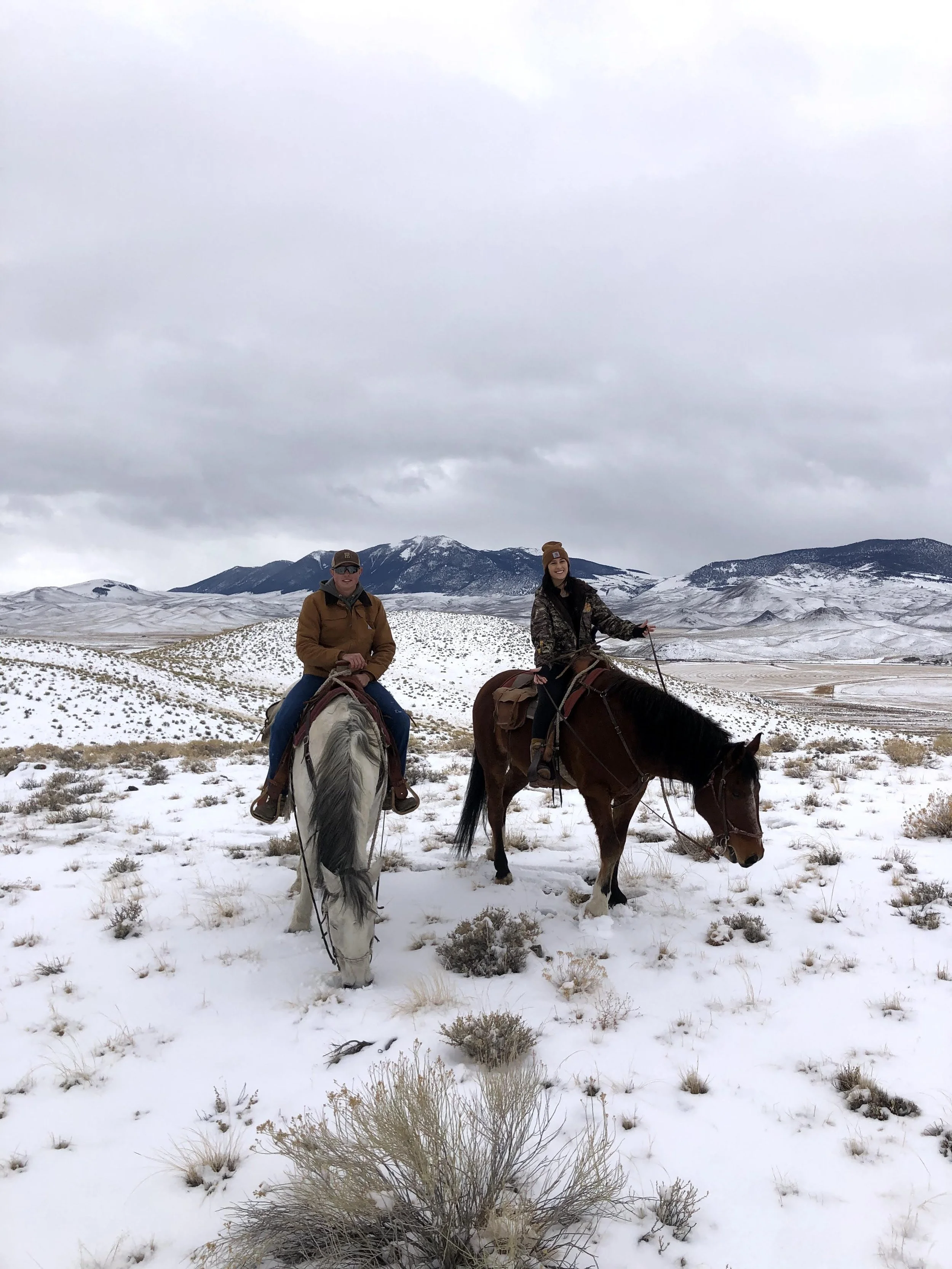 trail rides, horseback riding, challis idaho