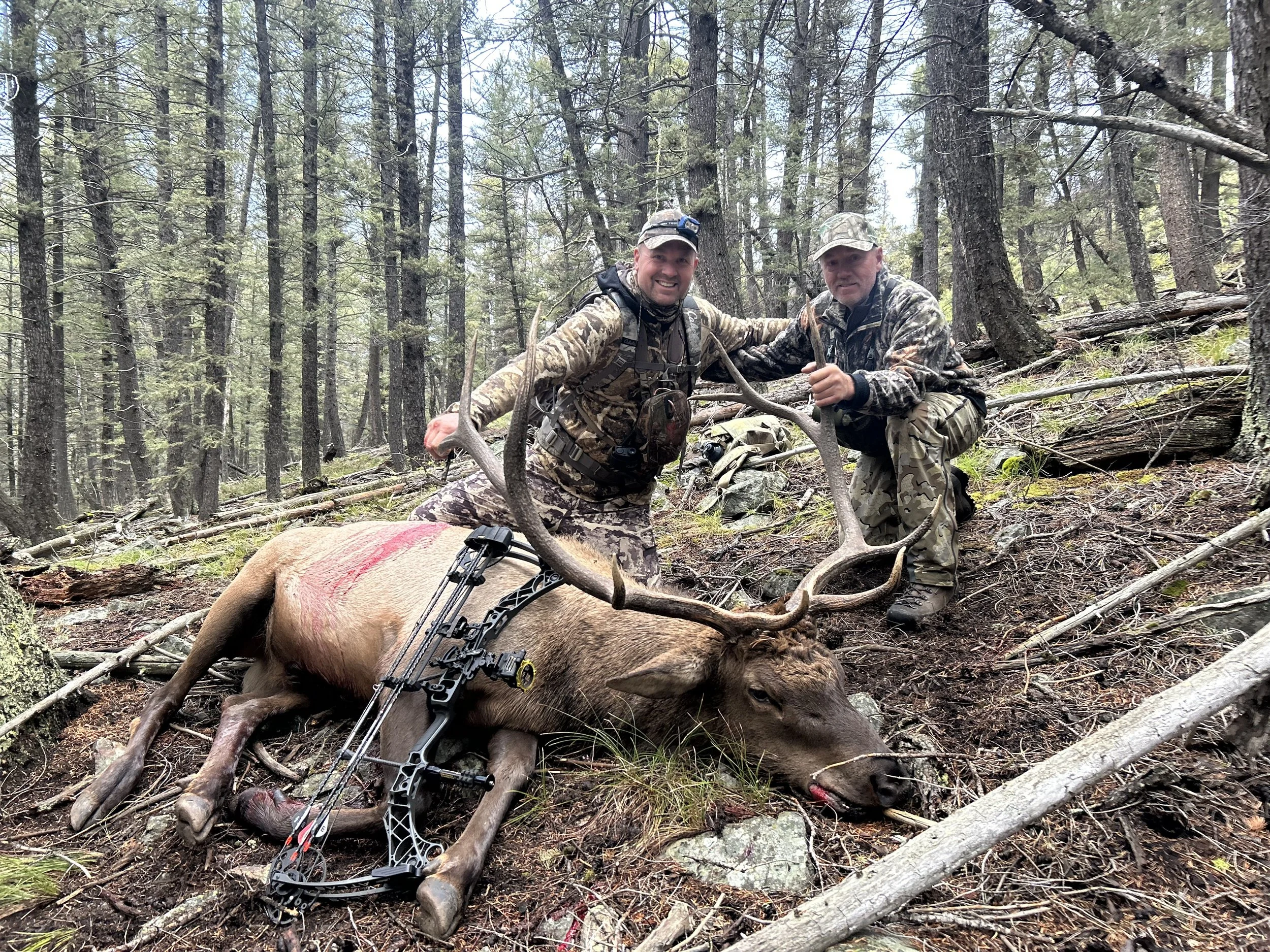 archery elk idaho