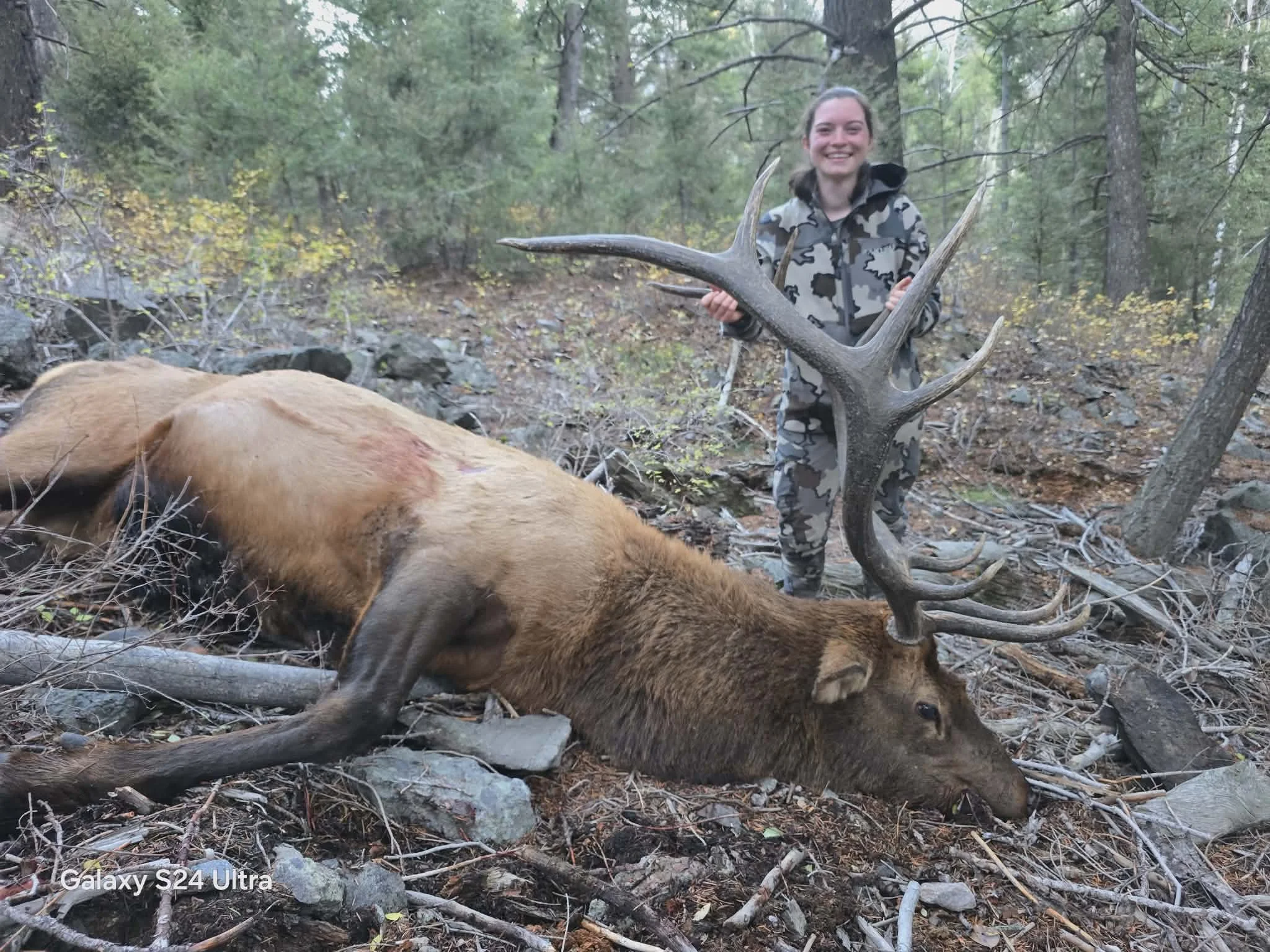 Best Elk Hunting Idaho