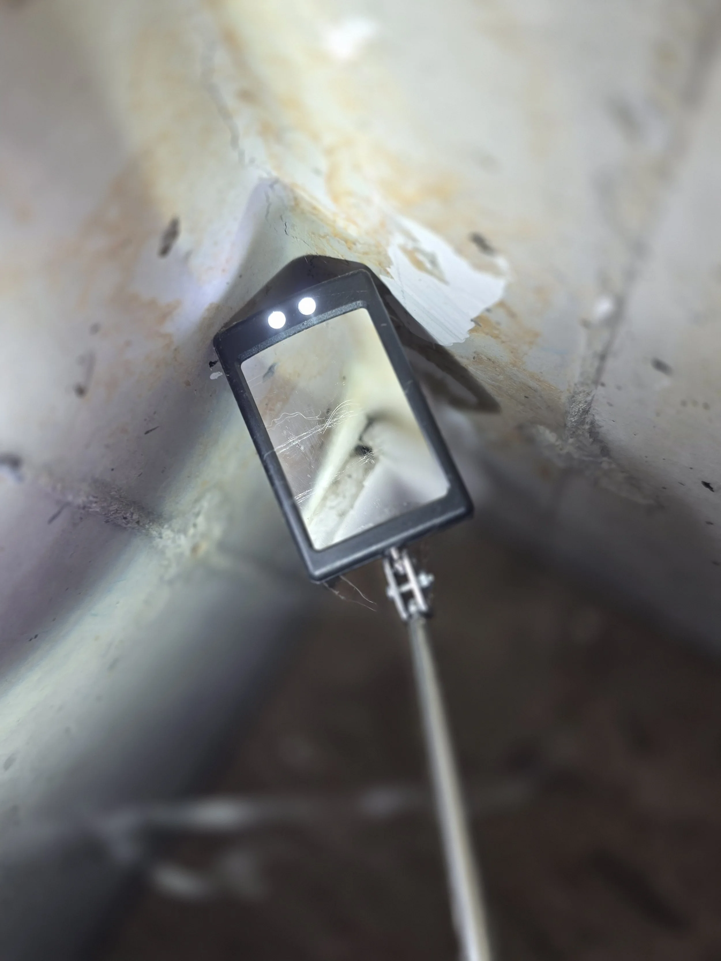 mice were using this small penetration