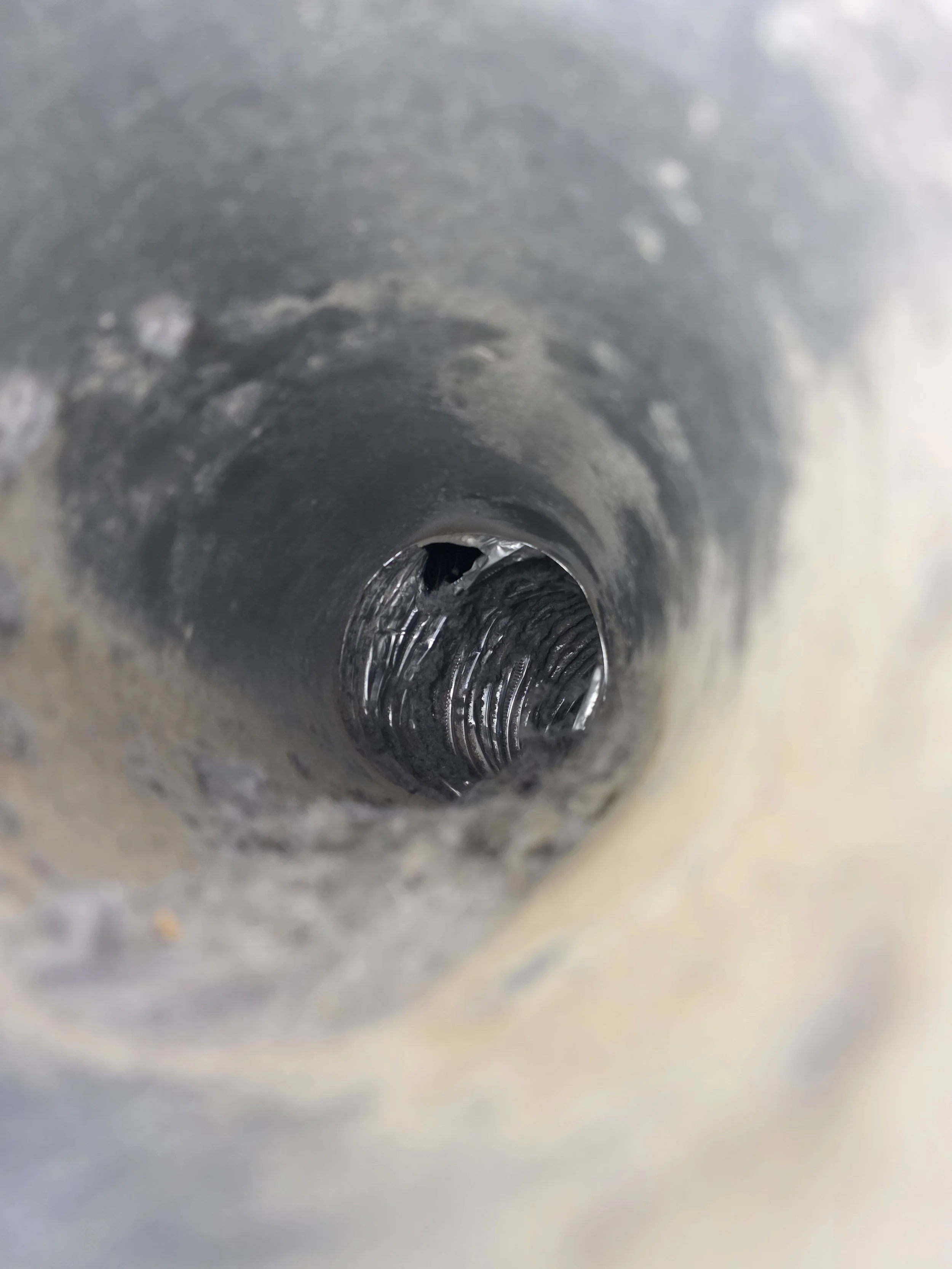 rodent chewed through vent pipe