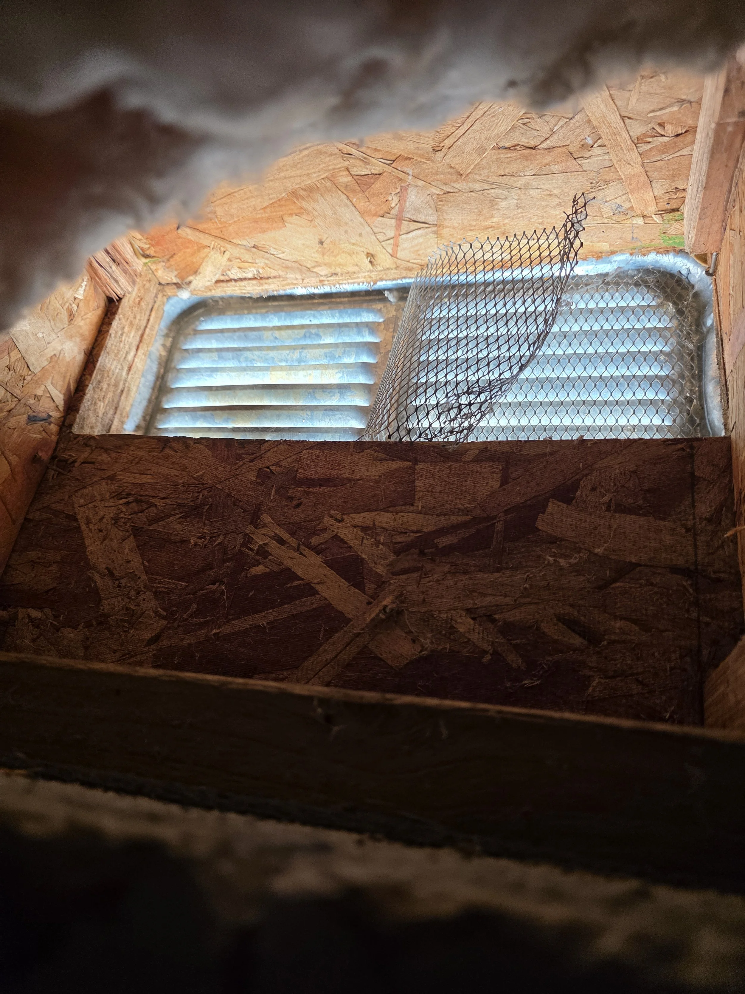 rats pulled back screen to gain entry