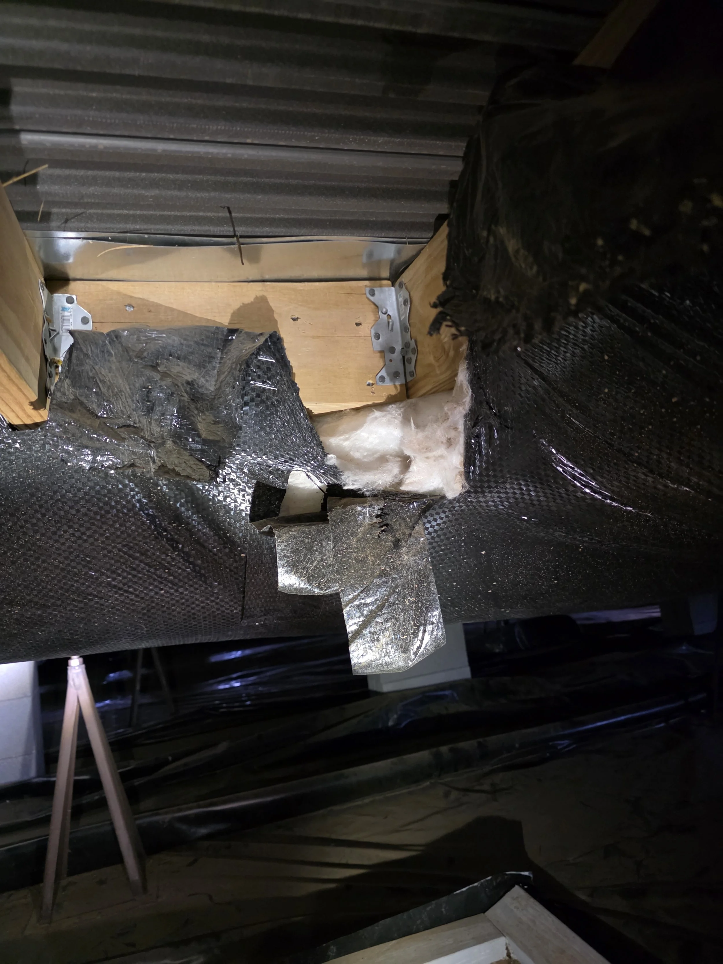 rodents entering through deck seal