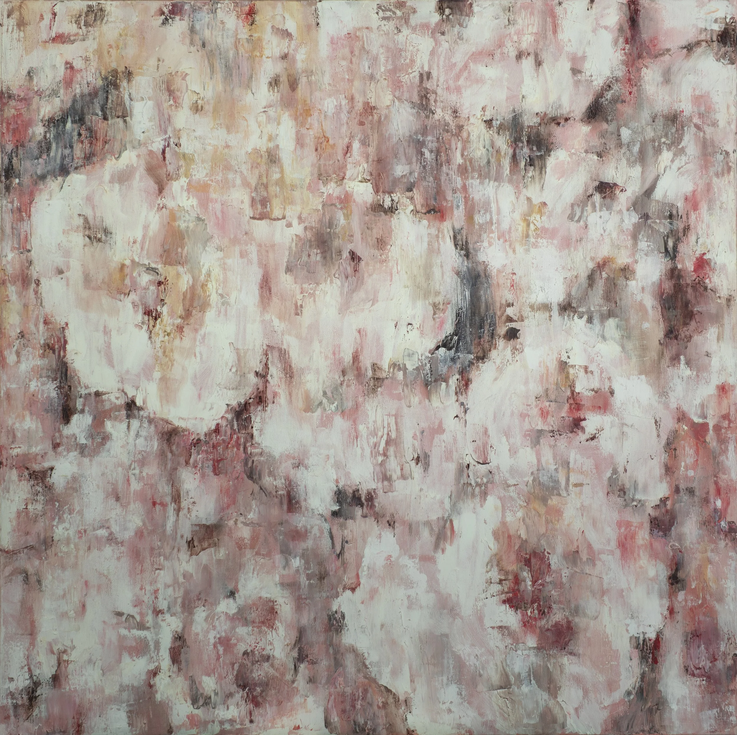 P4300027 20 MP (2).jpg