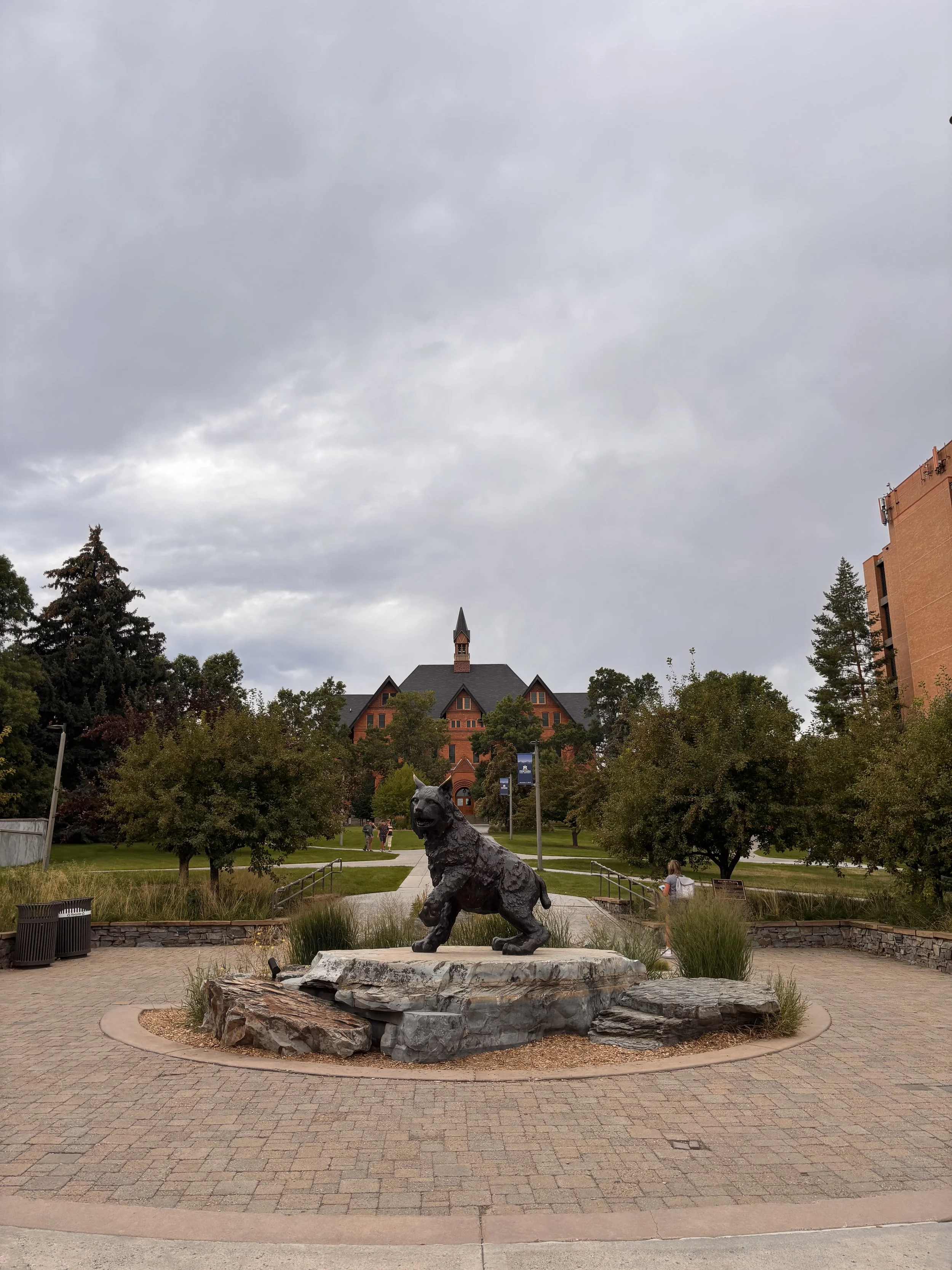 A bronze statue of a wolf on a stone base in a park with trees and pathways. A historic brick building with a tower is visible in the background under a cloudy sky.