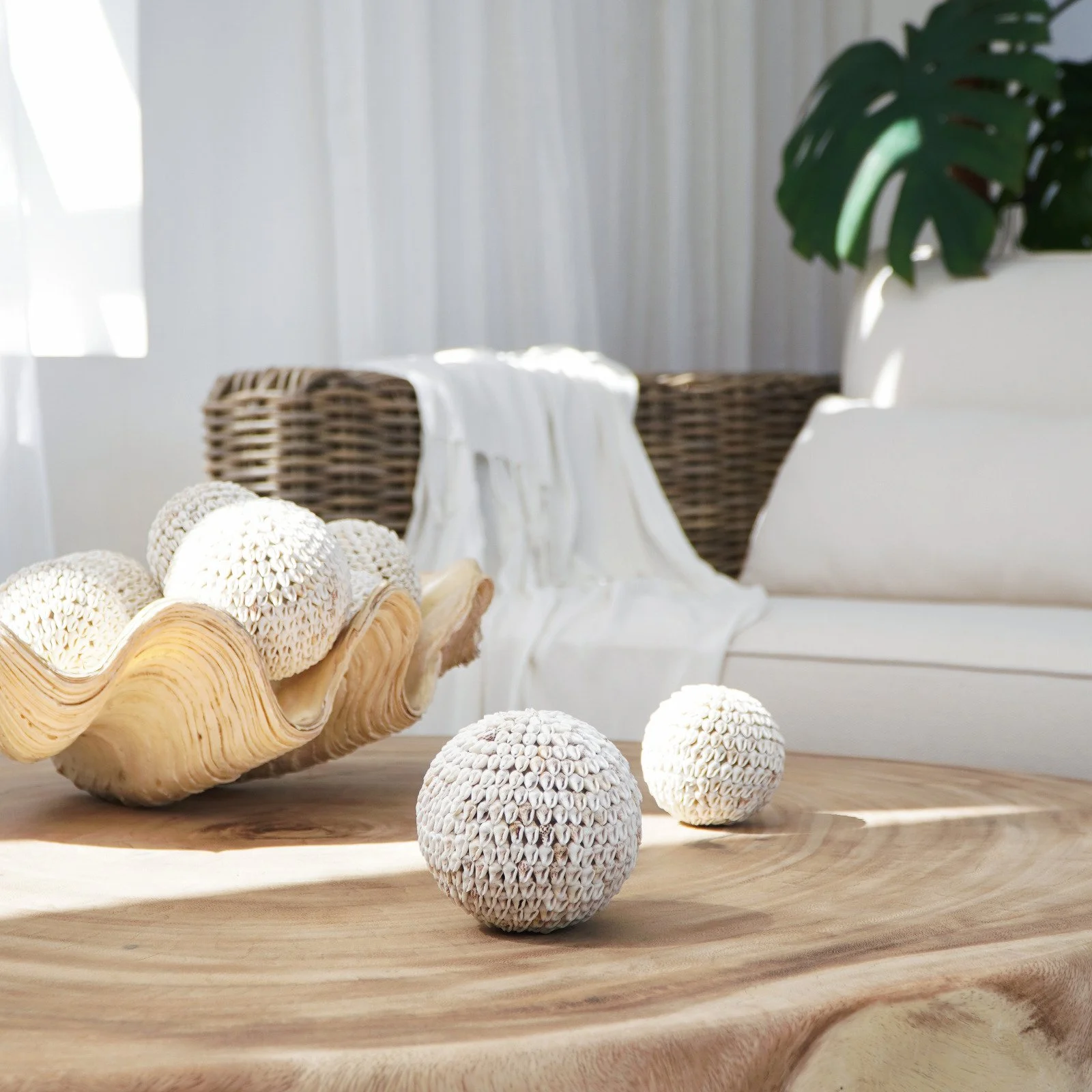SHELLA BALL SET OF TWO