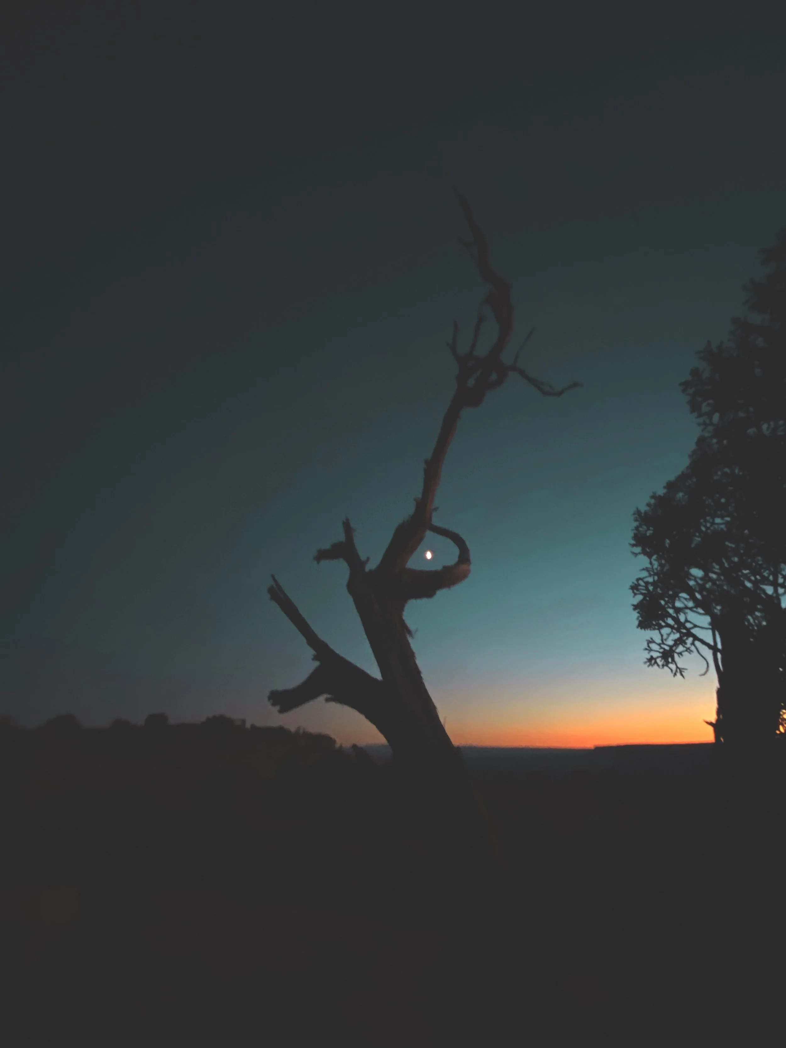 Photo 10-30-22, 6 53 37 pm.jpg