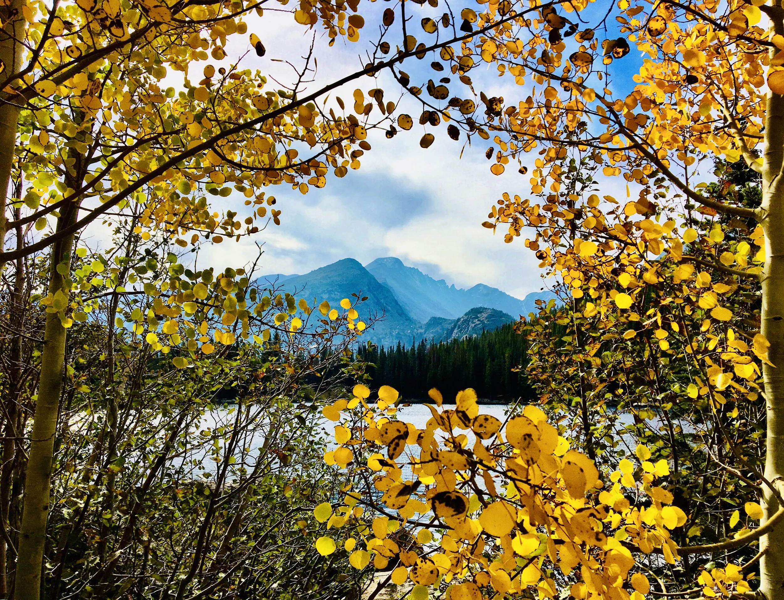 Photo Sep 24, 10 32 56 AM.jpg