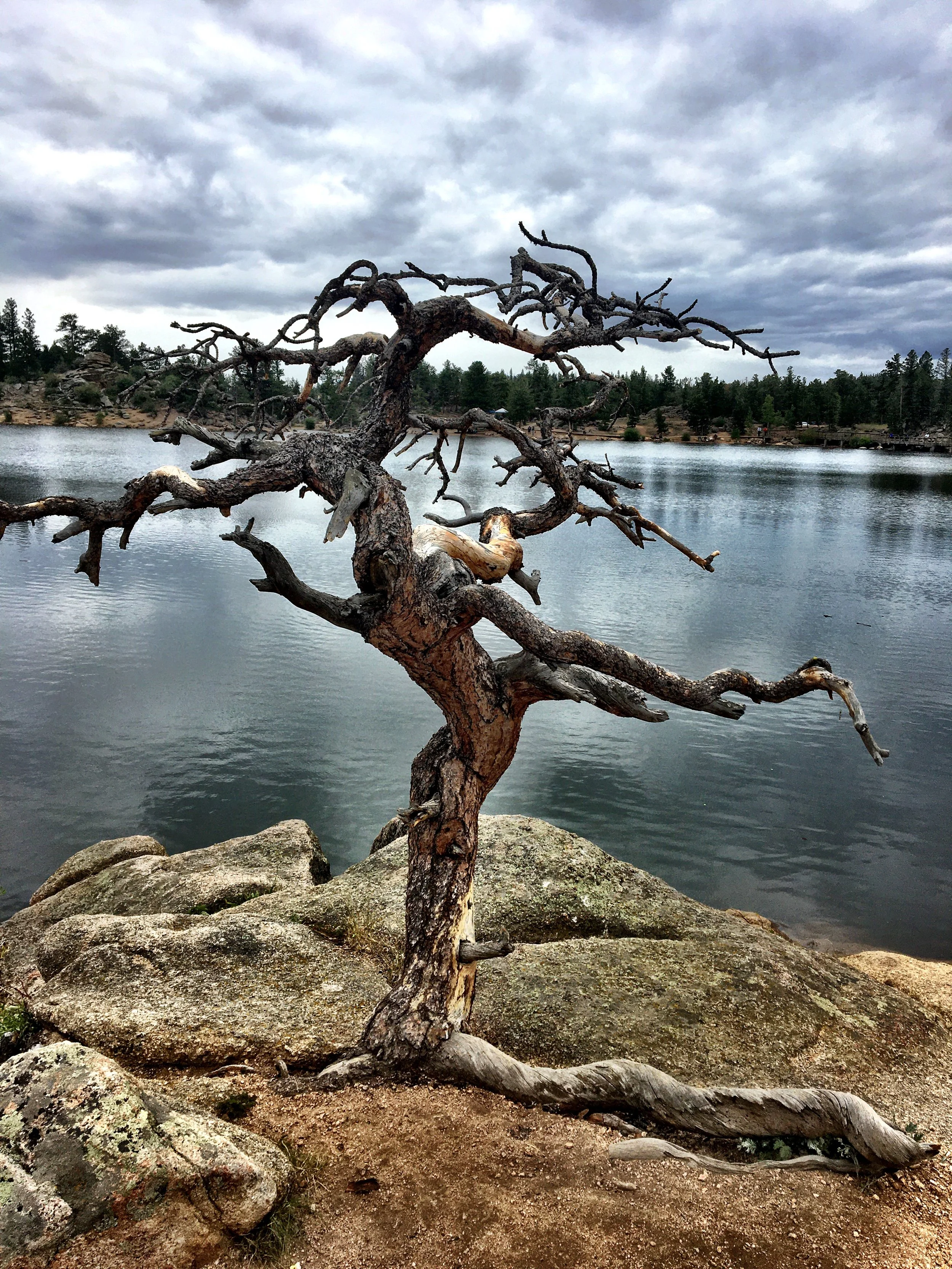 Photo Jul 25, 2 45 46 PM.jpg