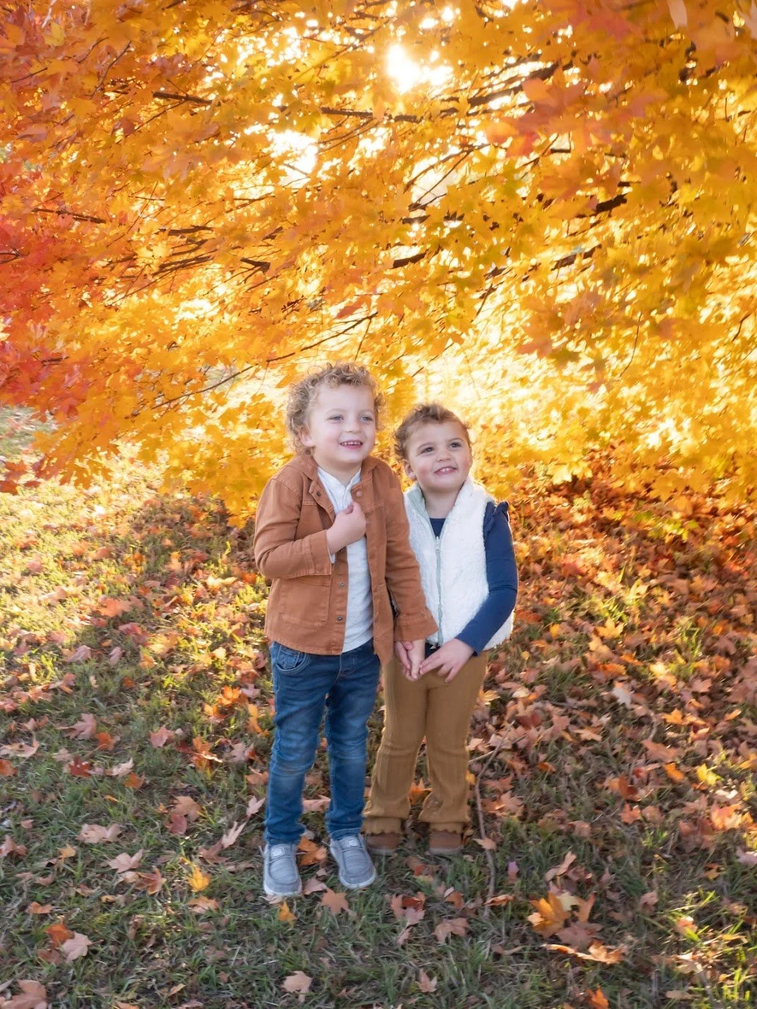 Force-Fall 2024_Final2.jpg