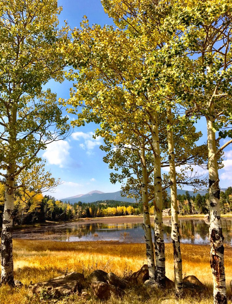 Photo Oct 03, 7 21 08 PM.jpg