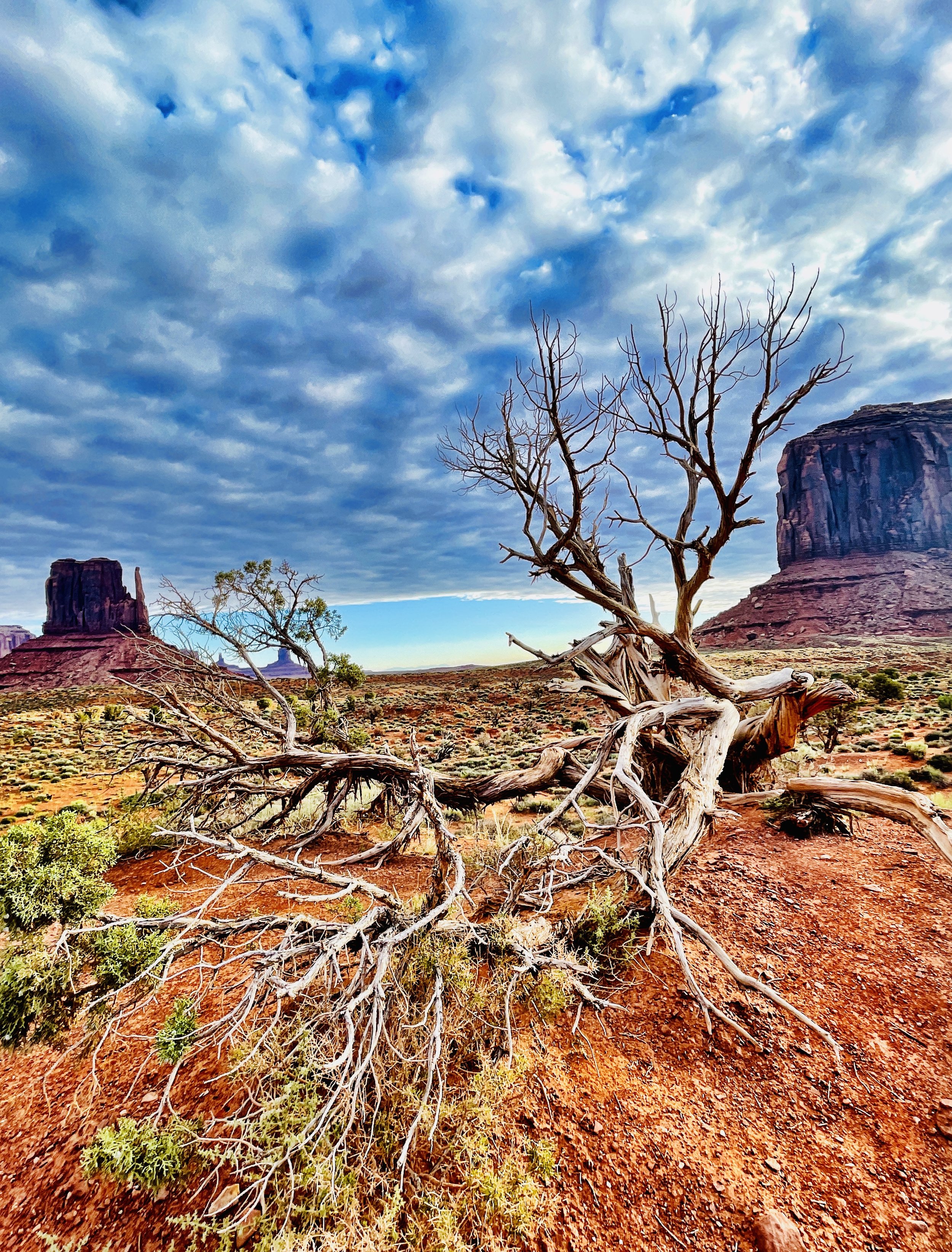 Photo 9-11-23, 8 06 54 am.jpg