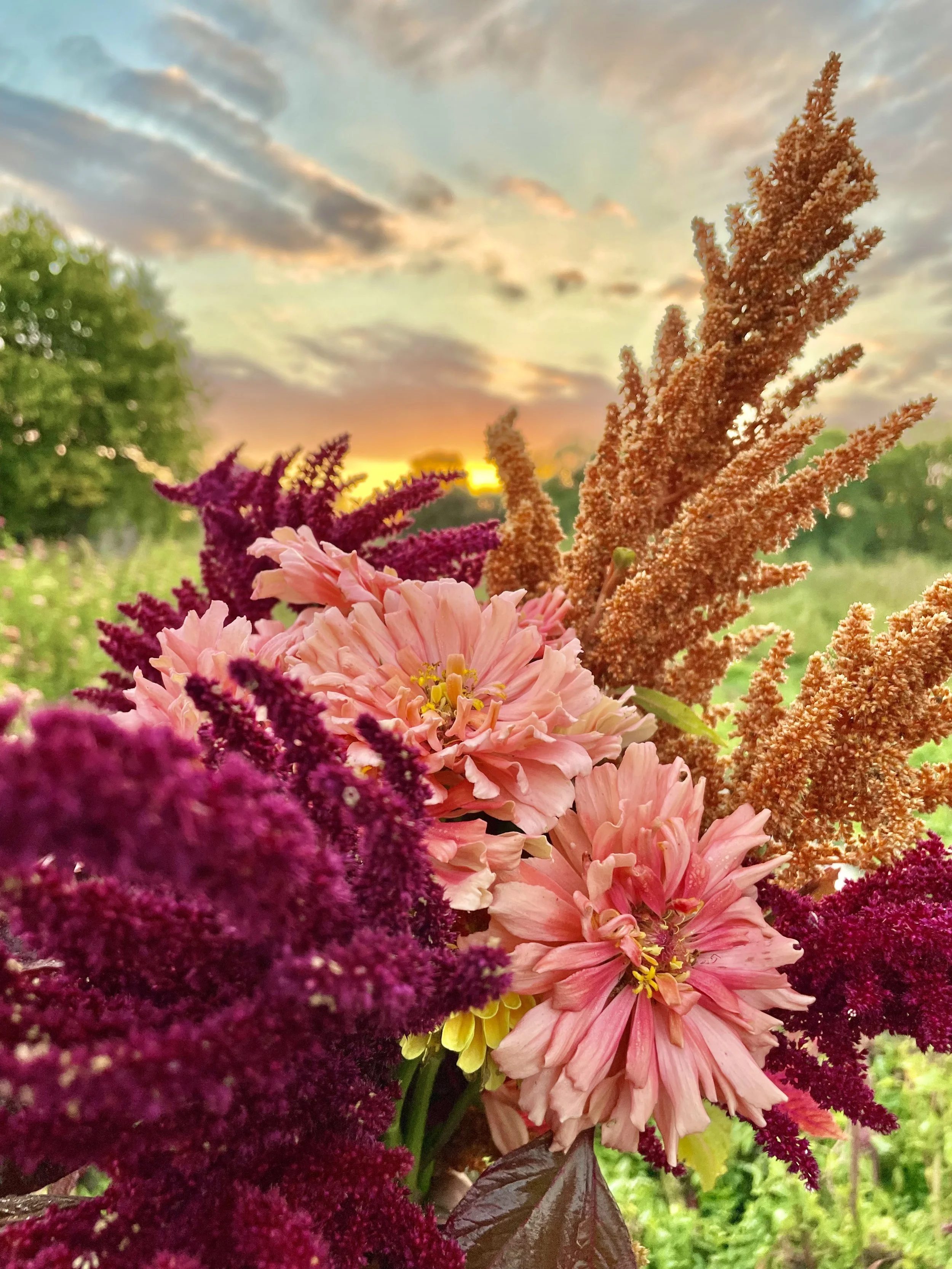 Photo 9-28-23, 7 29 05 a.m..jpg