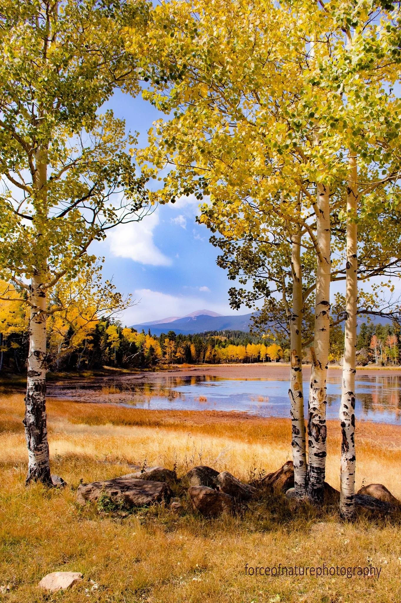 Photo Oct 04, 7 14 45 PM.jpg