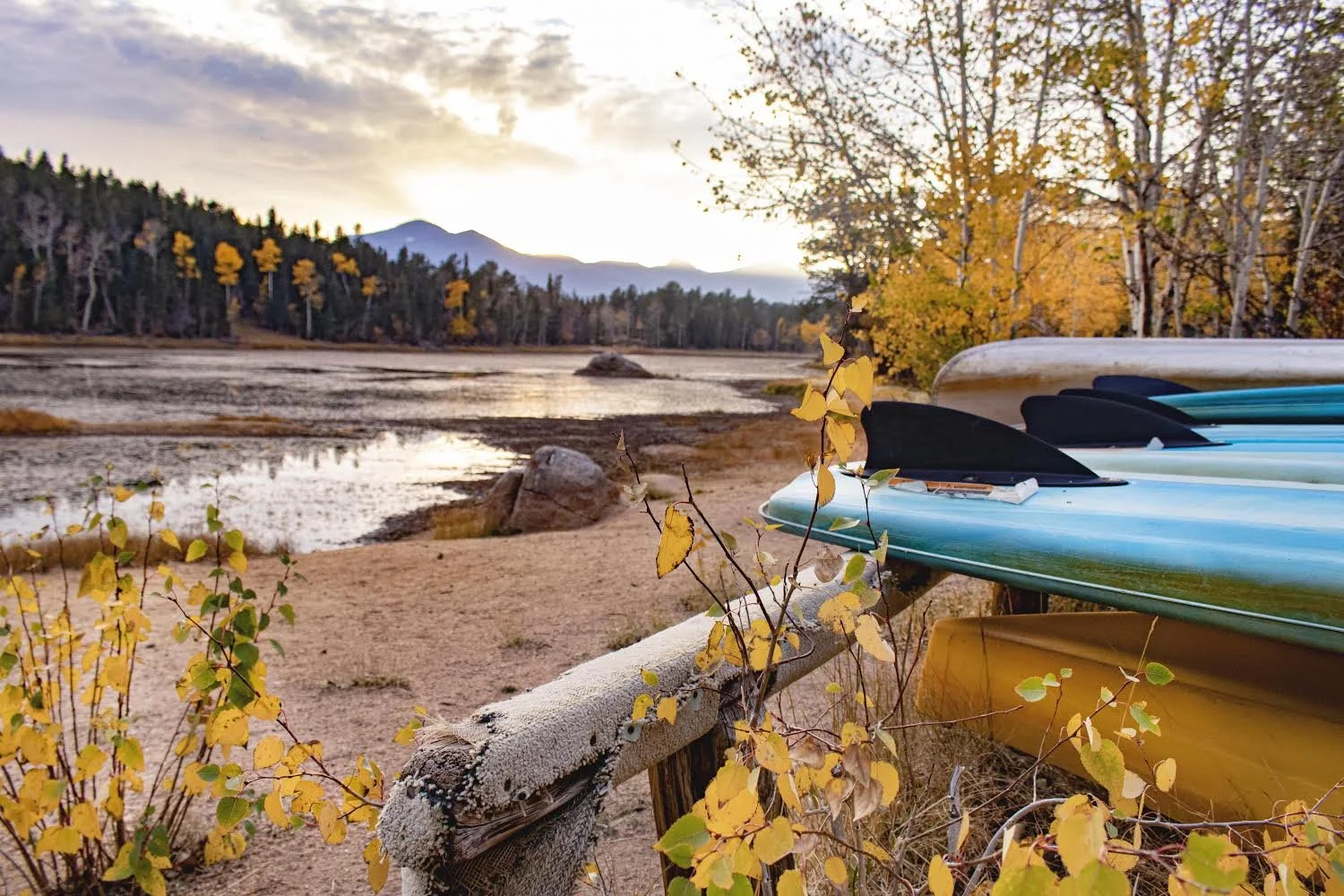 Photo Oct 09, 9 46 33 PM.jpg