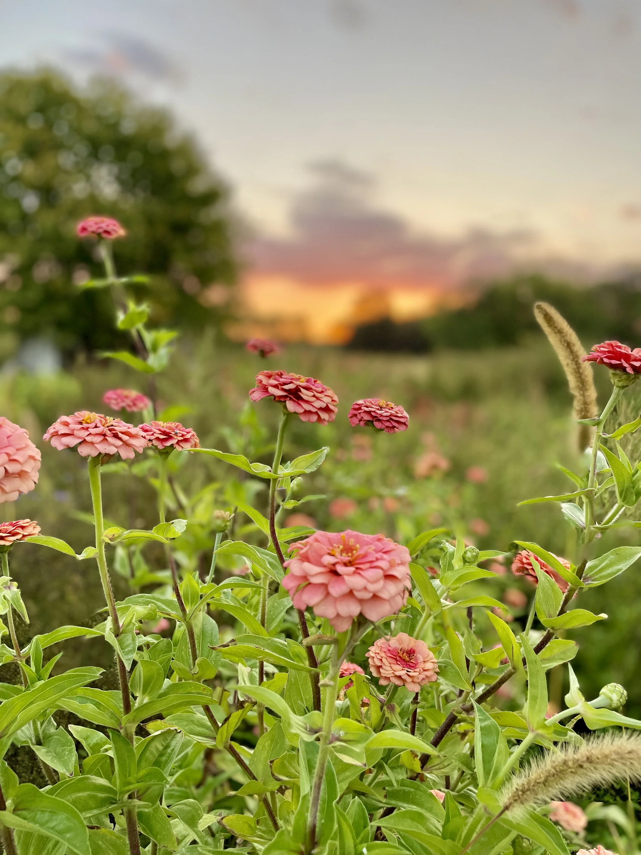 Photo 9-28-23, 7 24 12 a.m..jpg