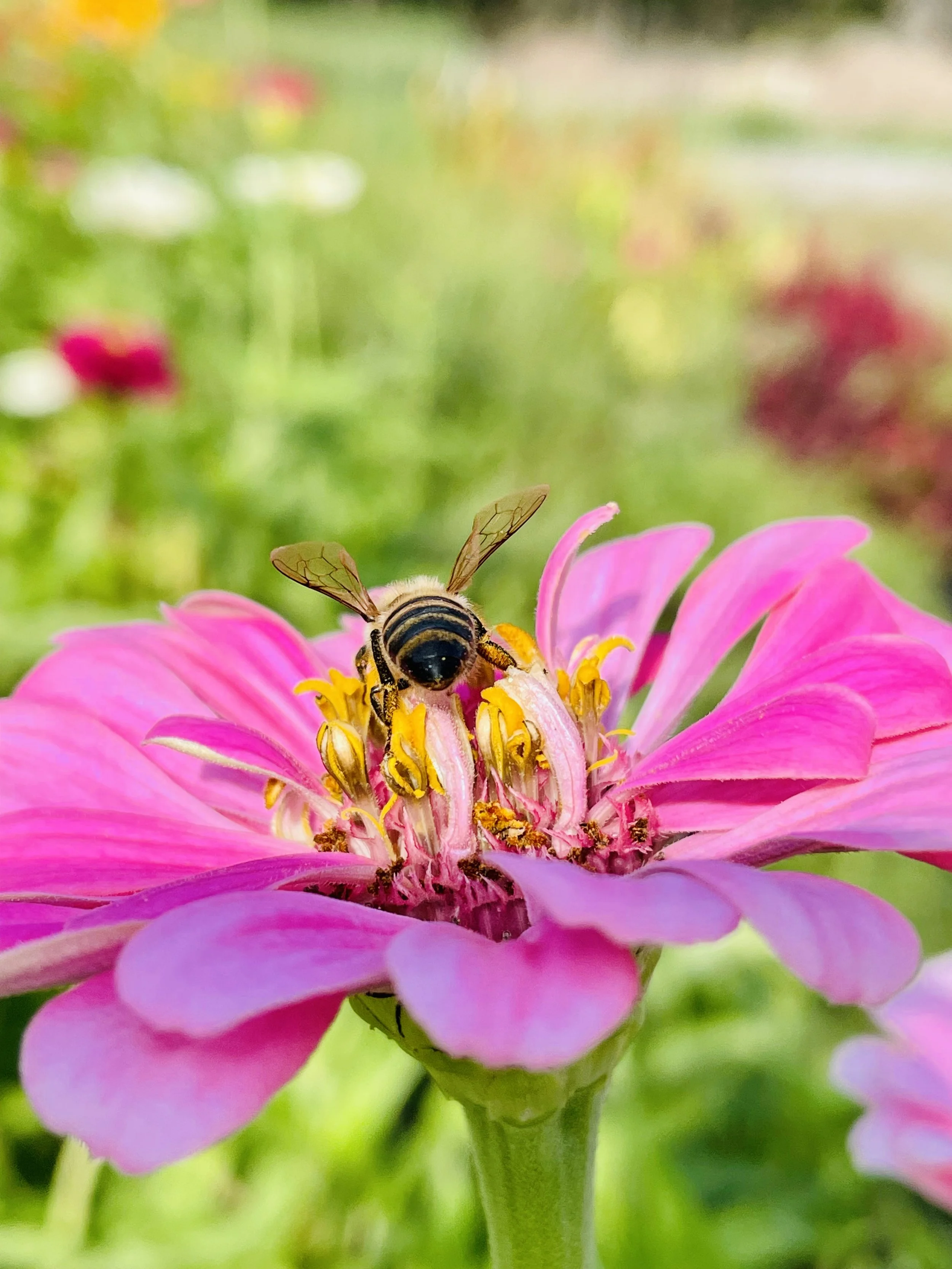 Photo 9-14-23, 9 51 41 a.m..jpg