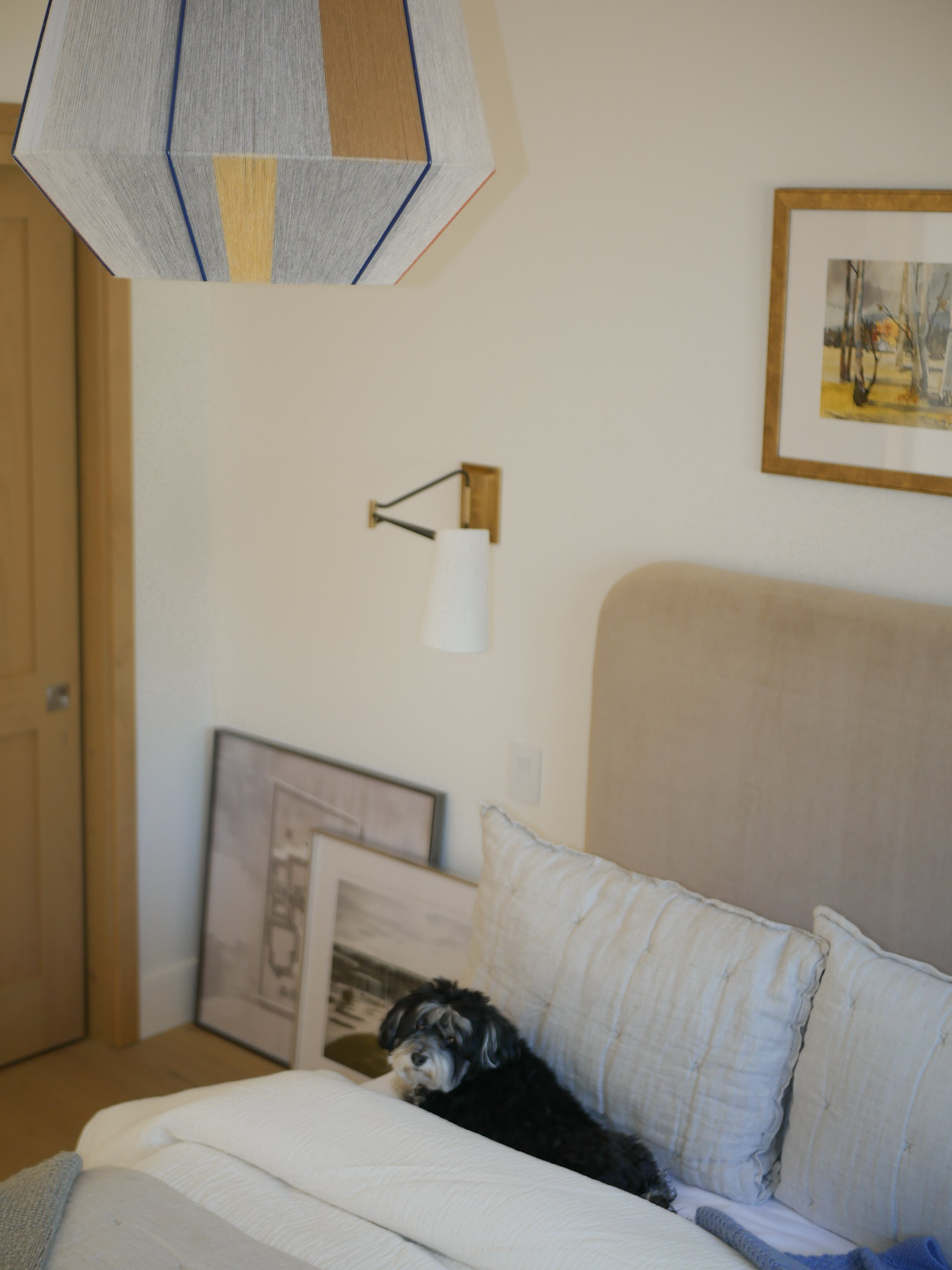 IMG_3636-2 copy.jpg