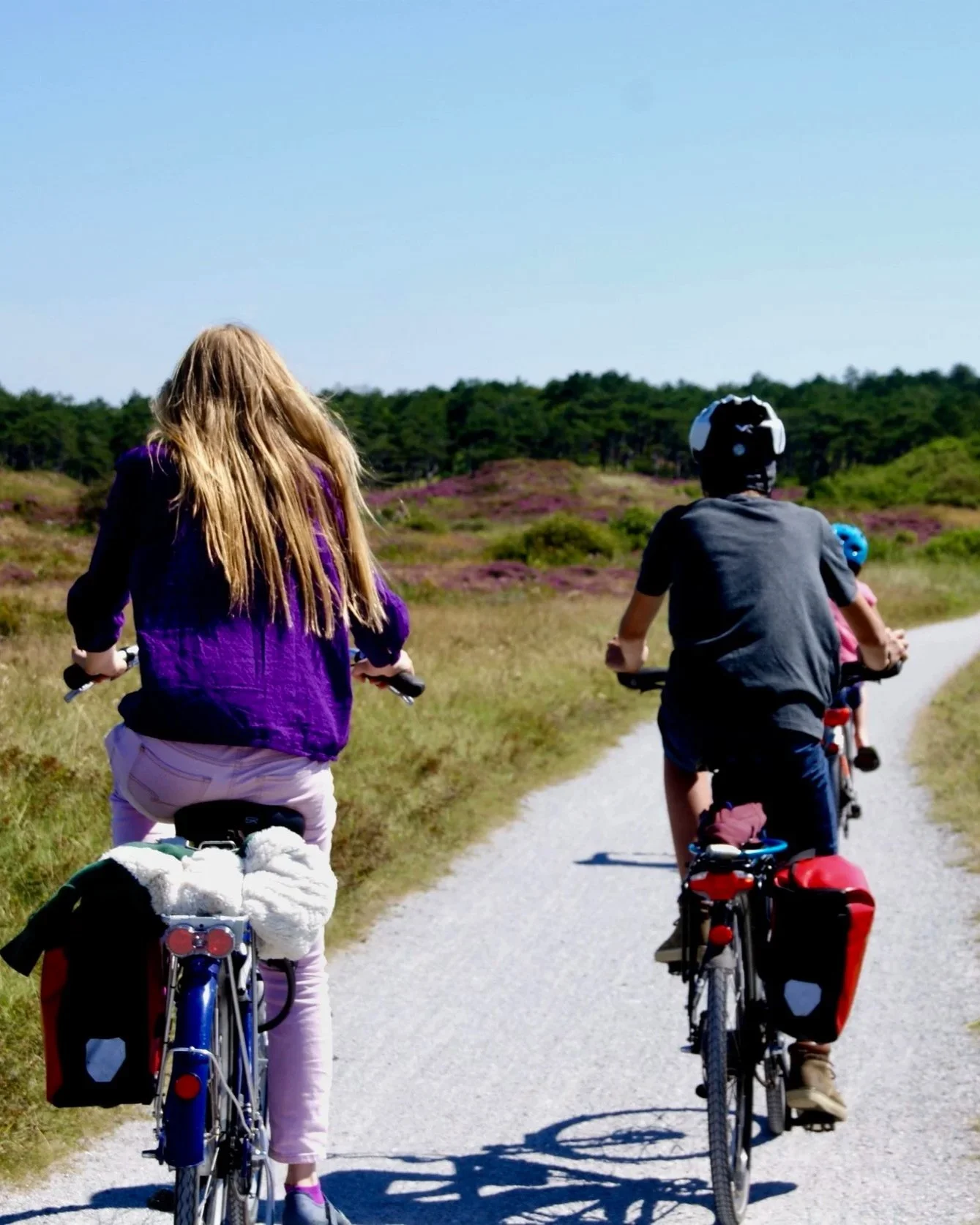 Two children riding bicycles on a gravel path surrounded by grassy fields and purple flowers, with trees in the background under a clear blue sky.