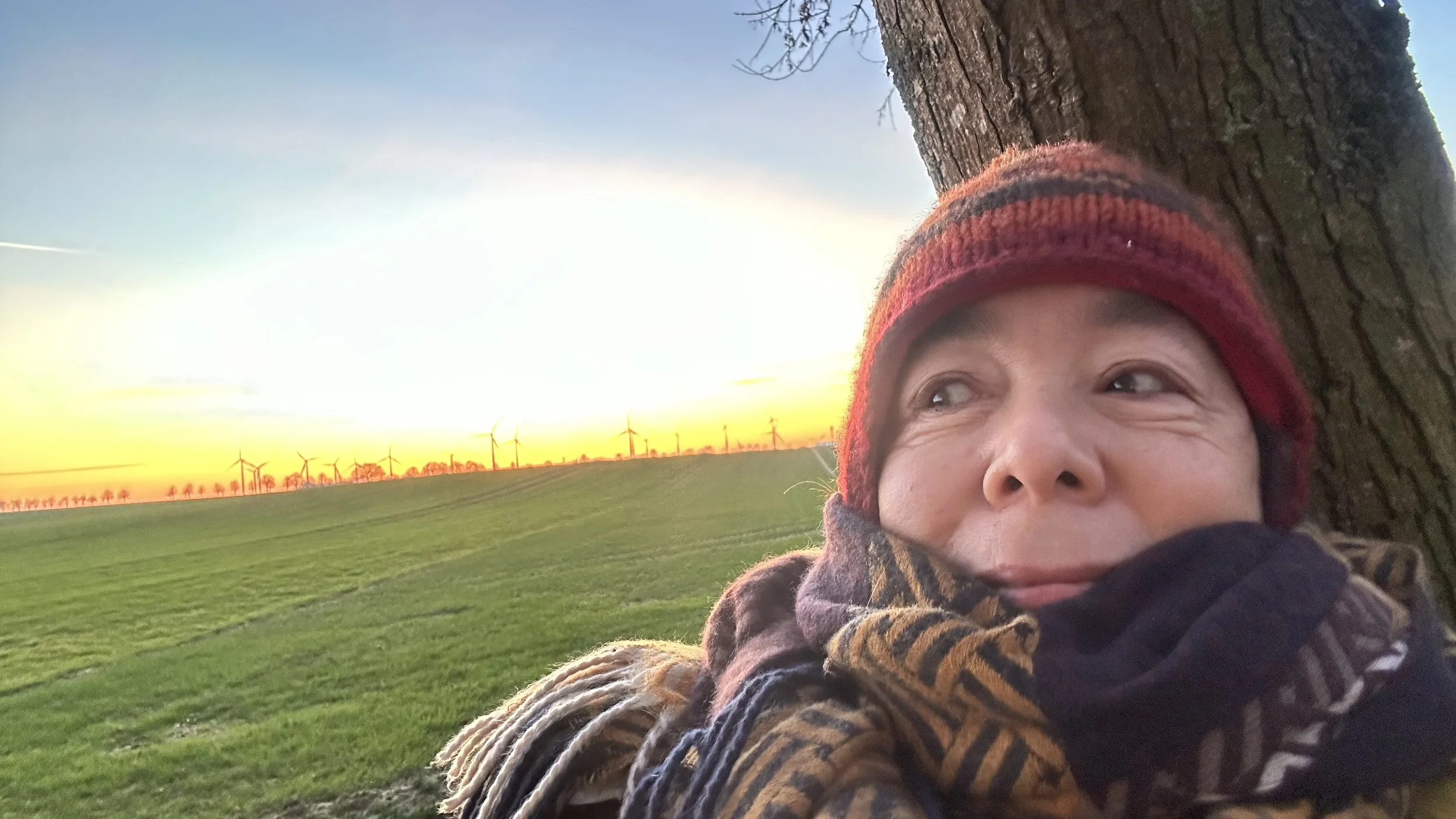 Person relaxing against a tree during sunset with wind turbines on the horizon and green fields in the background.